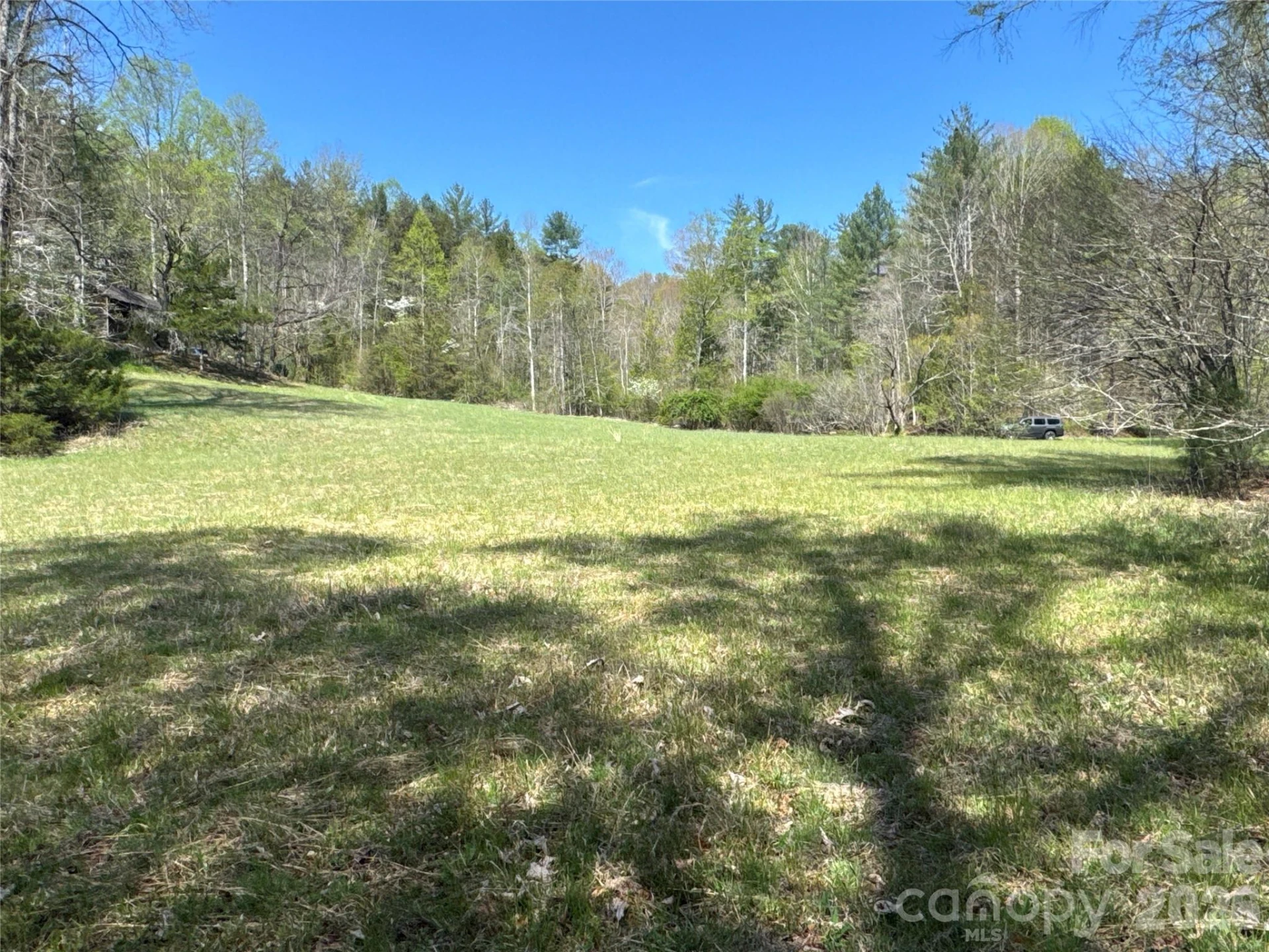 4017 Piney Road - Photo 25