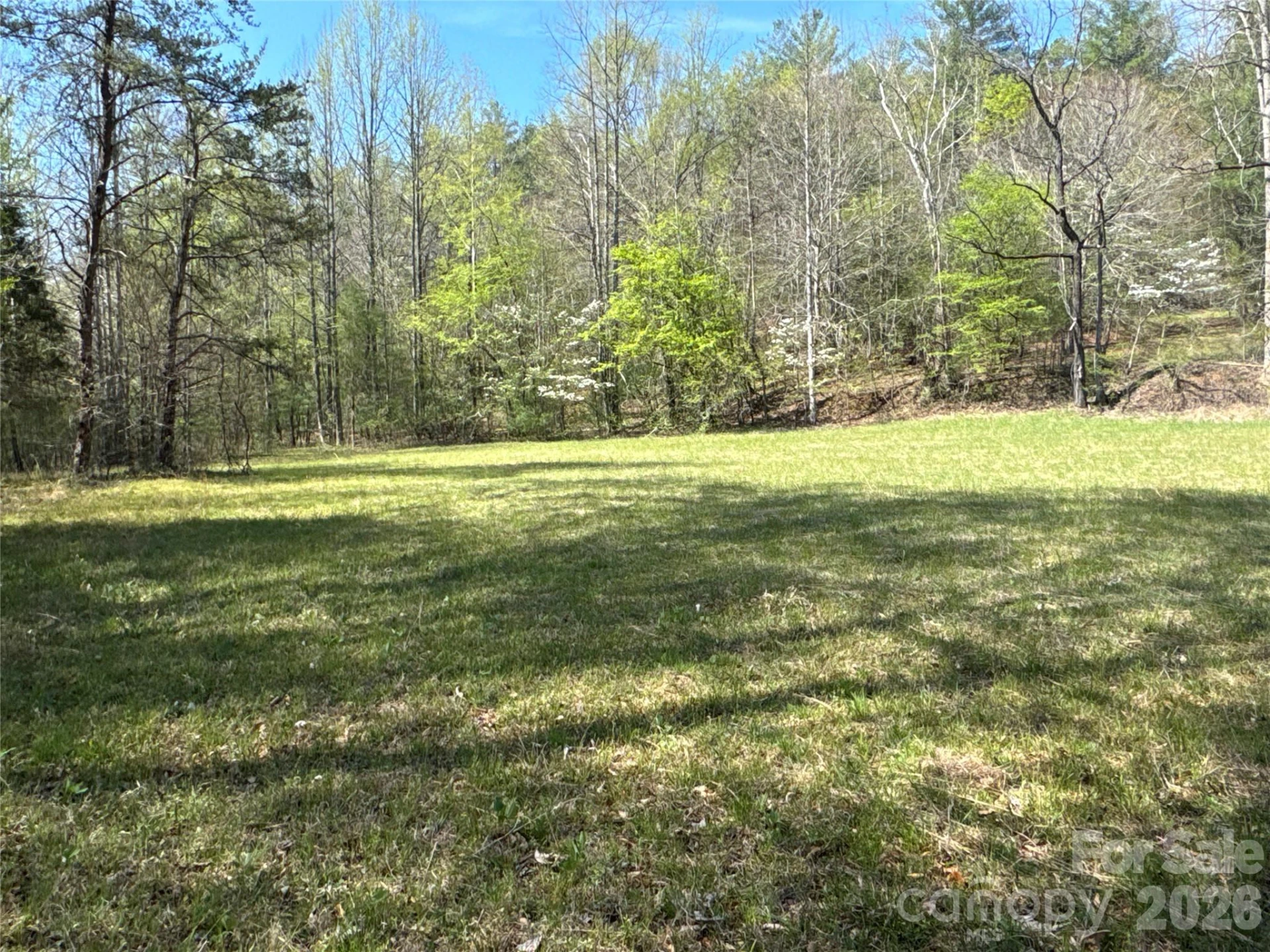 4017 Piney Road - Photo 26