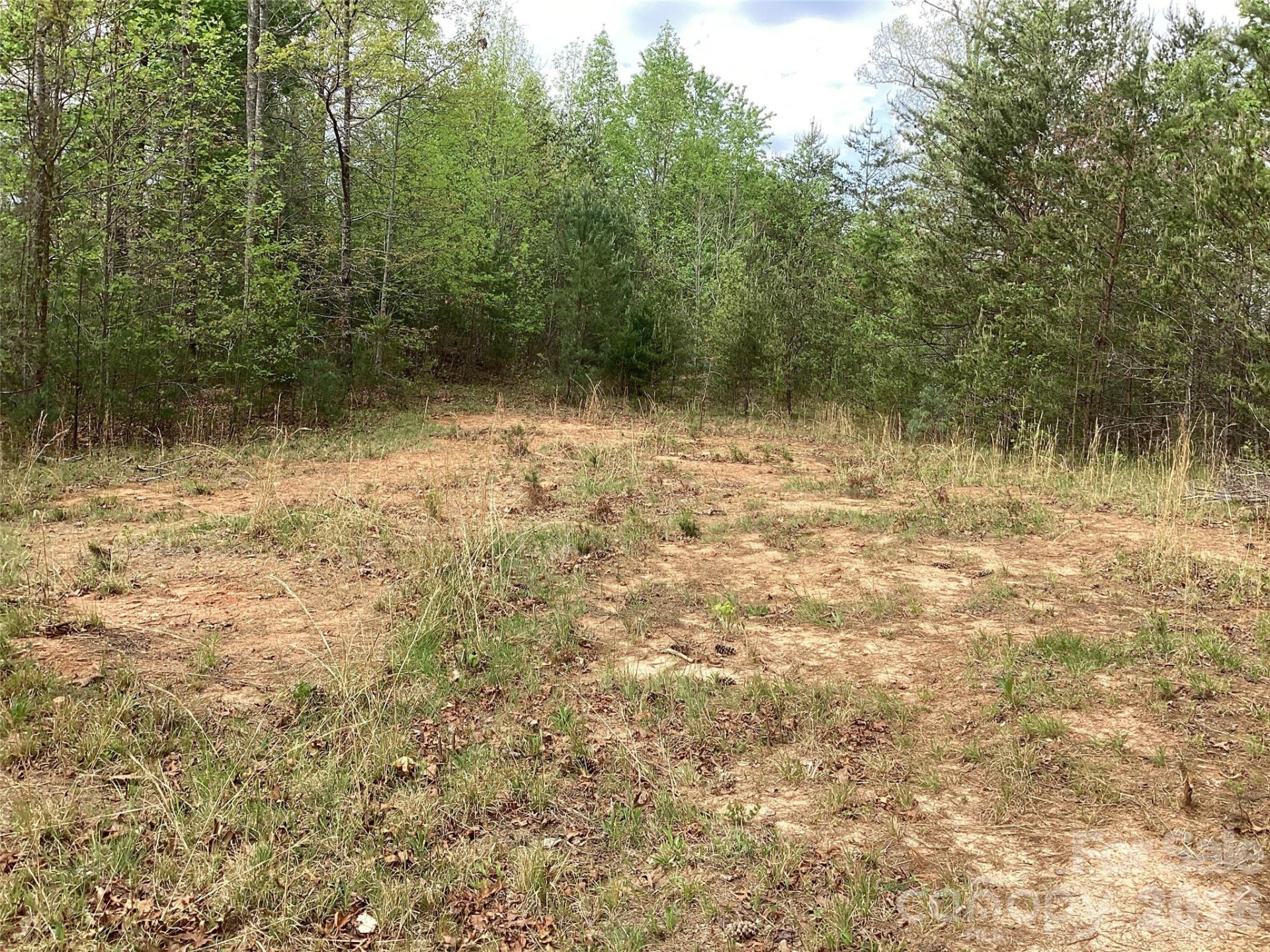 4017 Piney Road - Photo 29