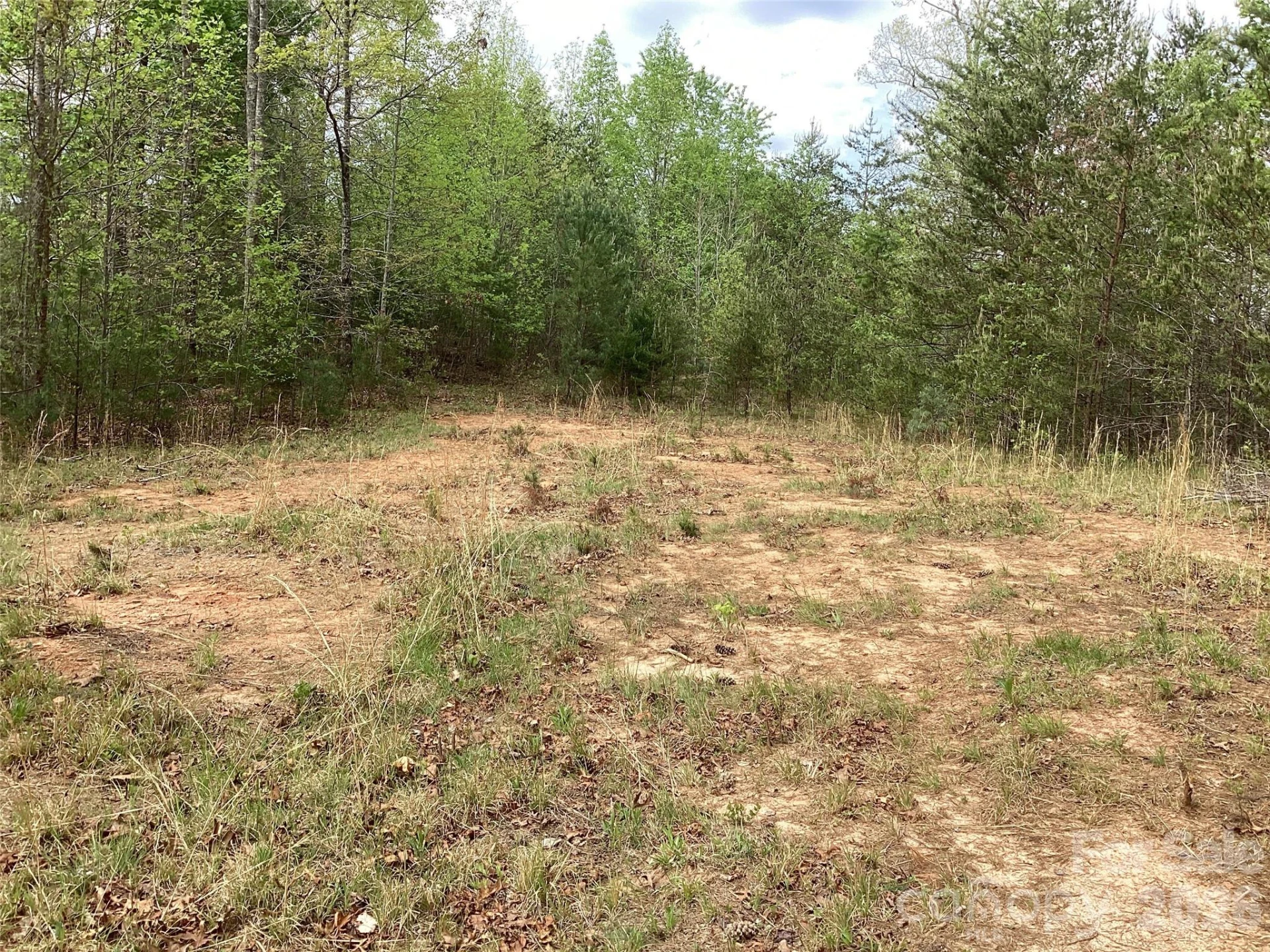 4017 Piney Road - Photo 28