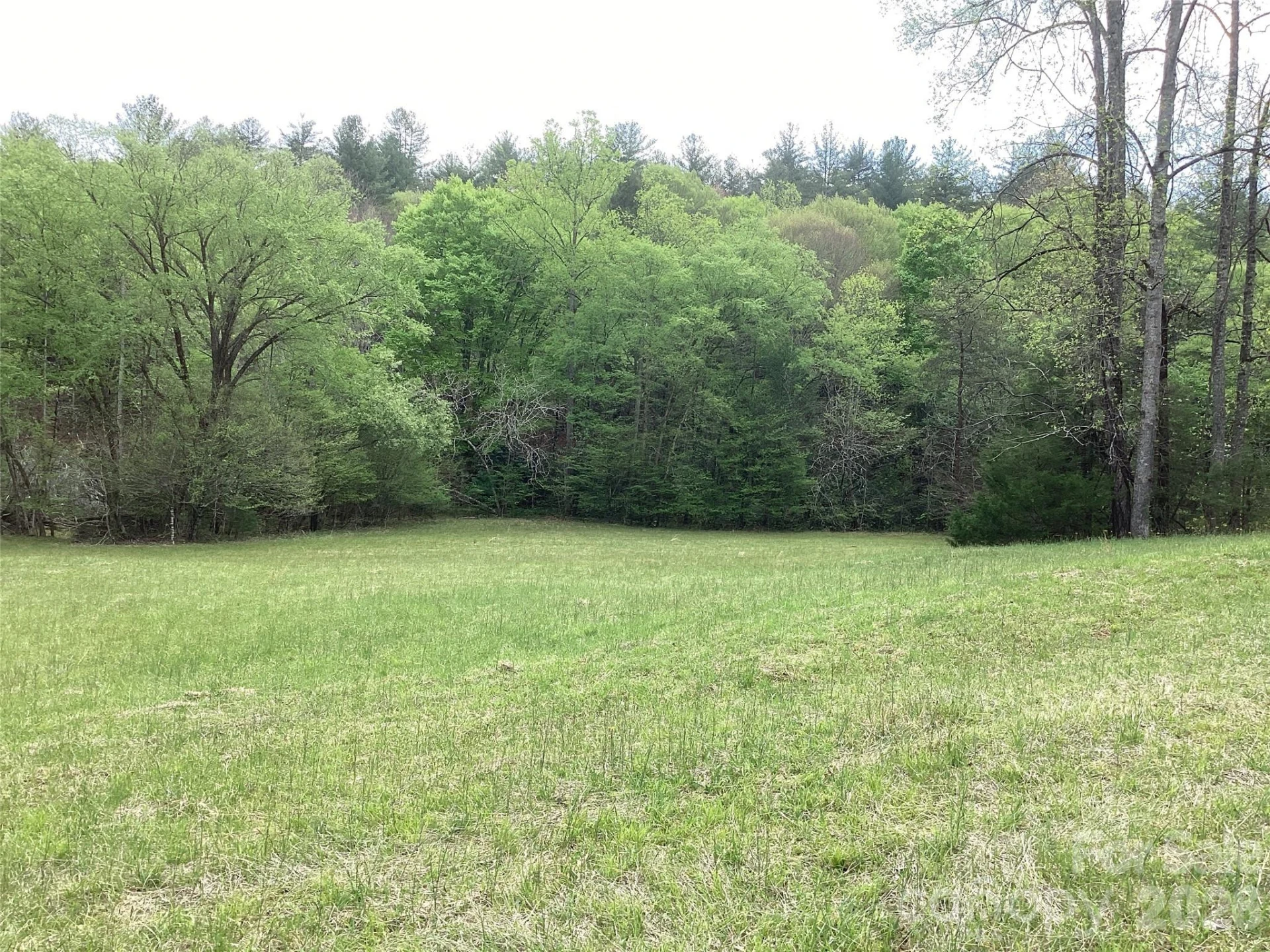 4017 Piney Road - Photo 29