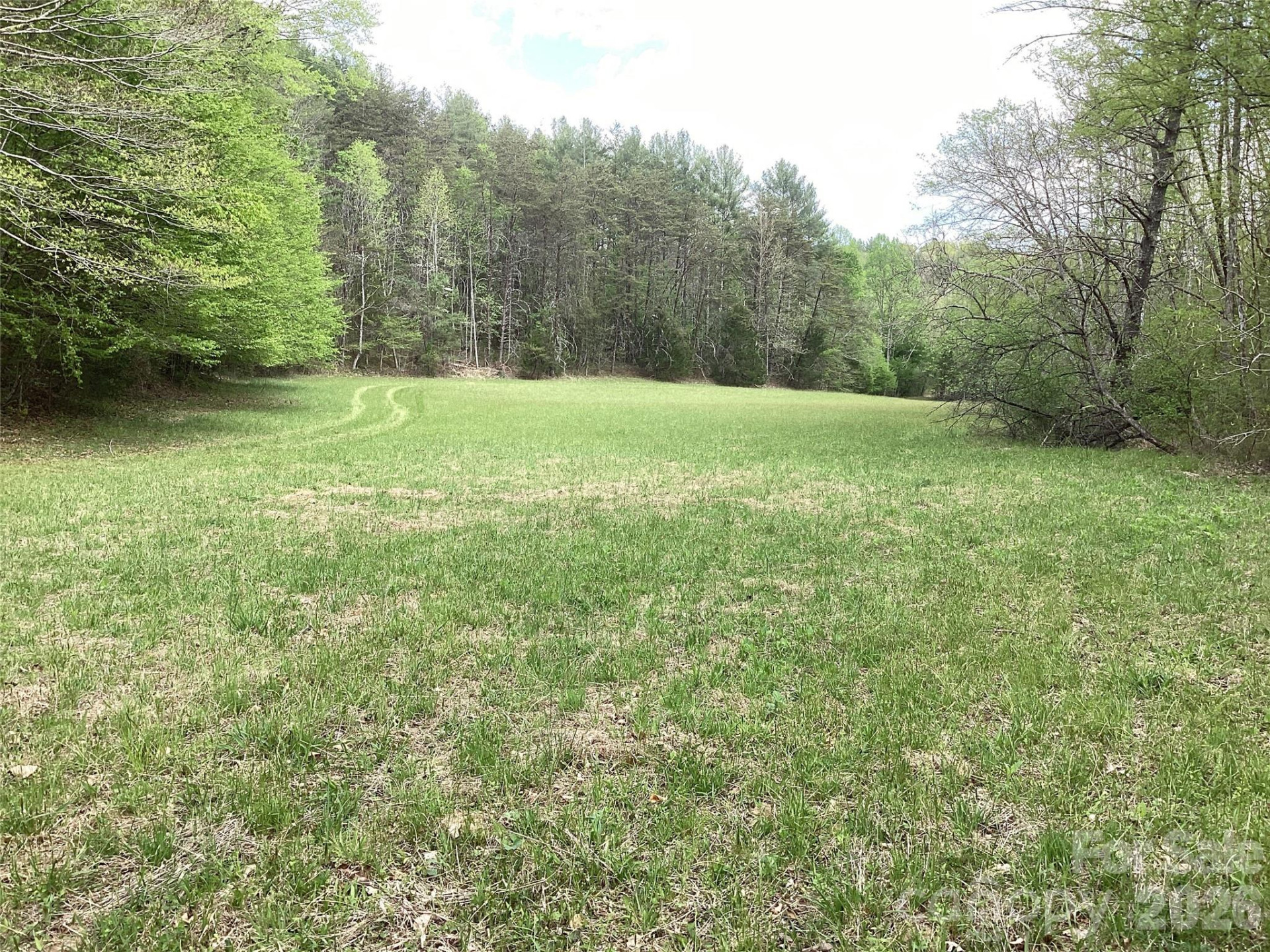 4017 Piney Road - Photo 31