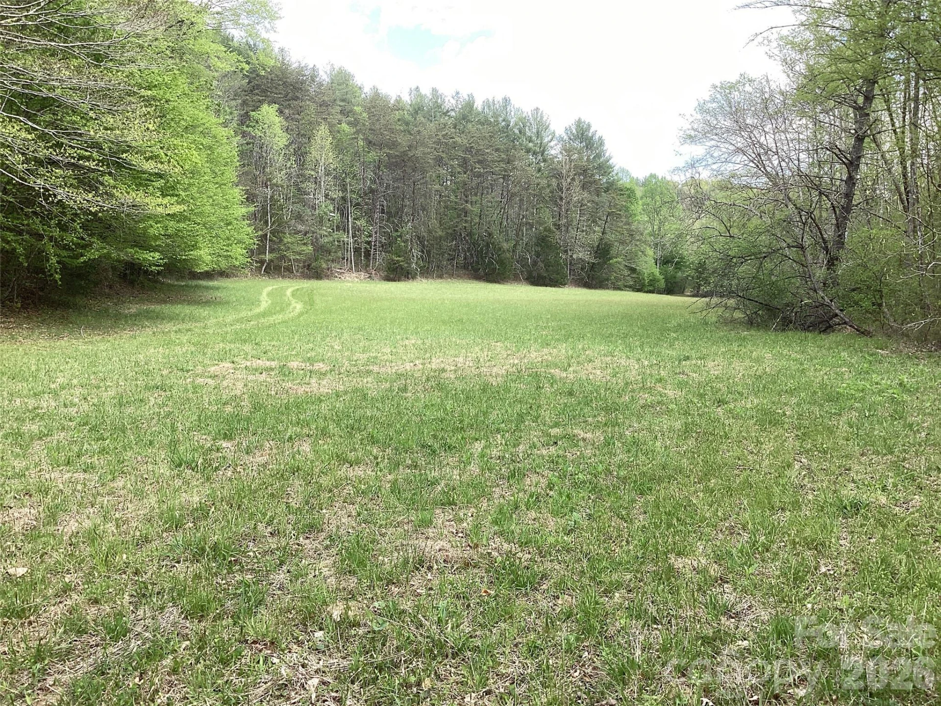 4017 Piney Road - Photo 30