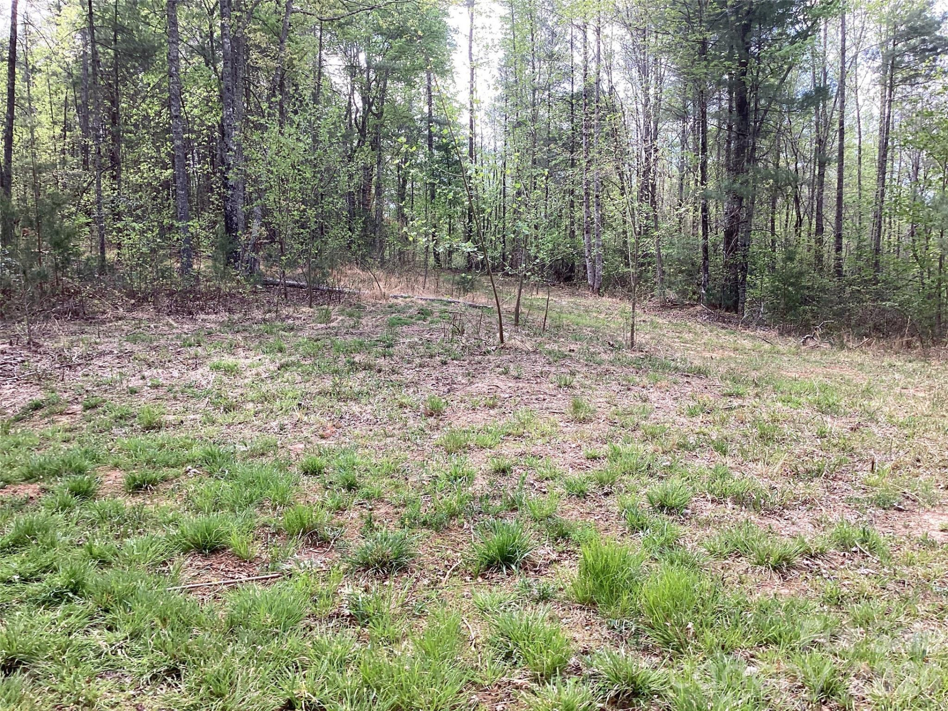 4017 Piney Road - Photo 32