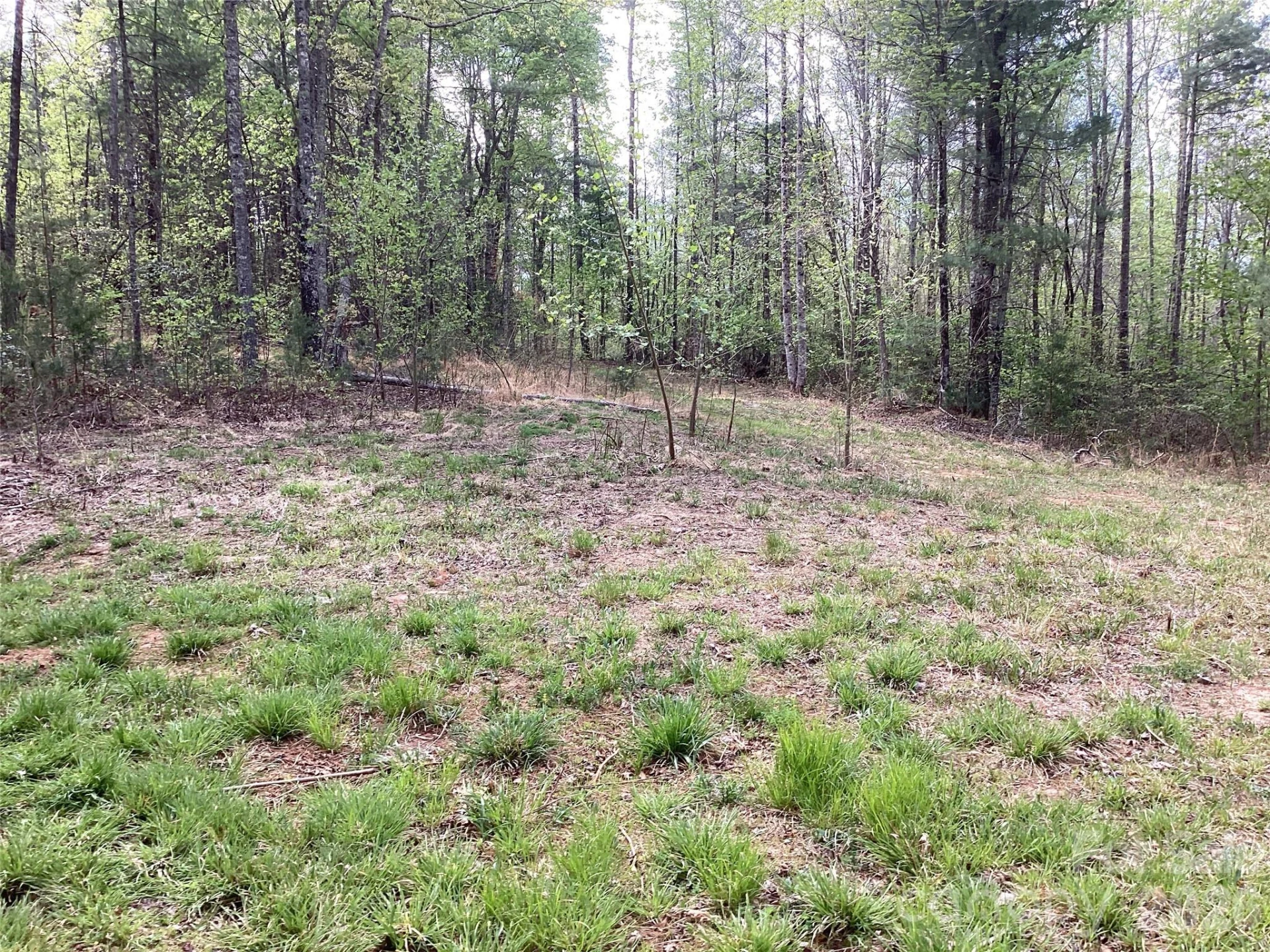 4017 Piney Road - Photo 31