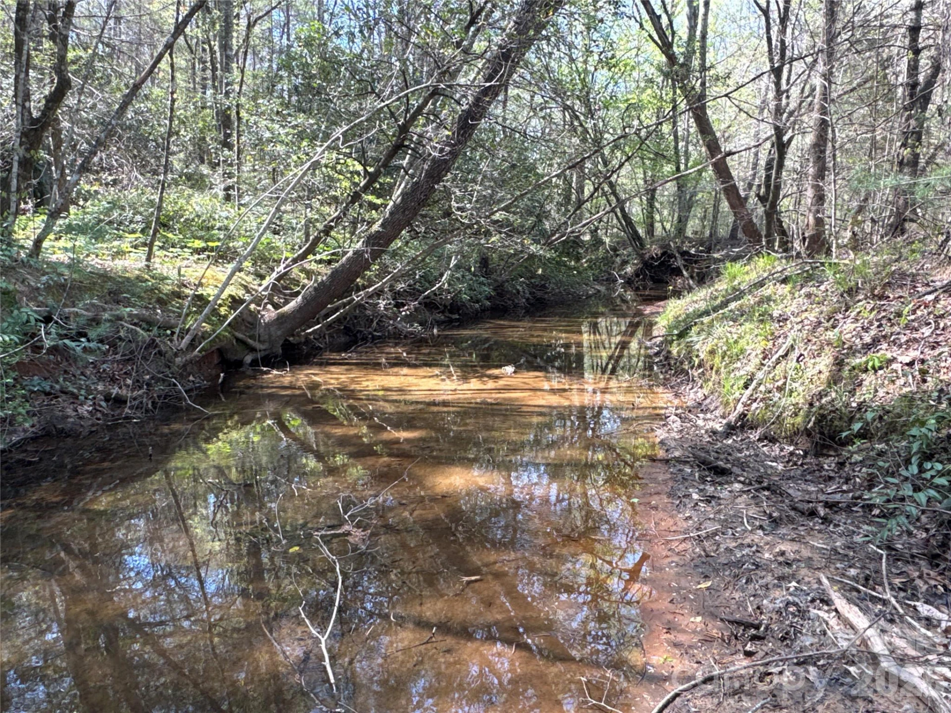 4017 Piney Road - Photo 5
