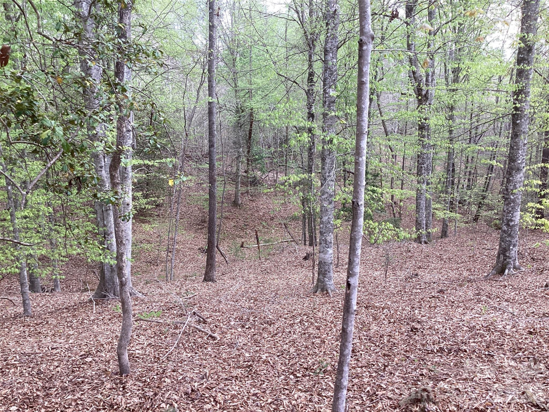 4017 Piney Road - Photo 33