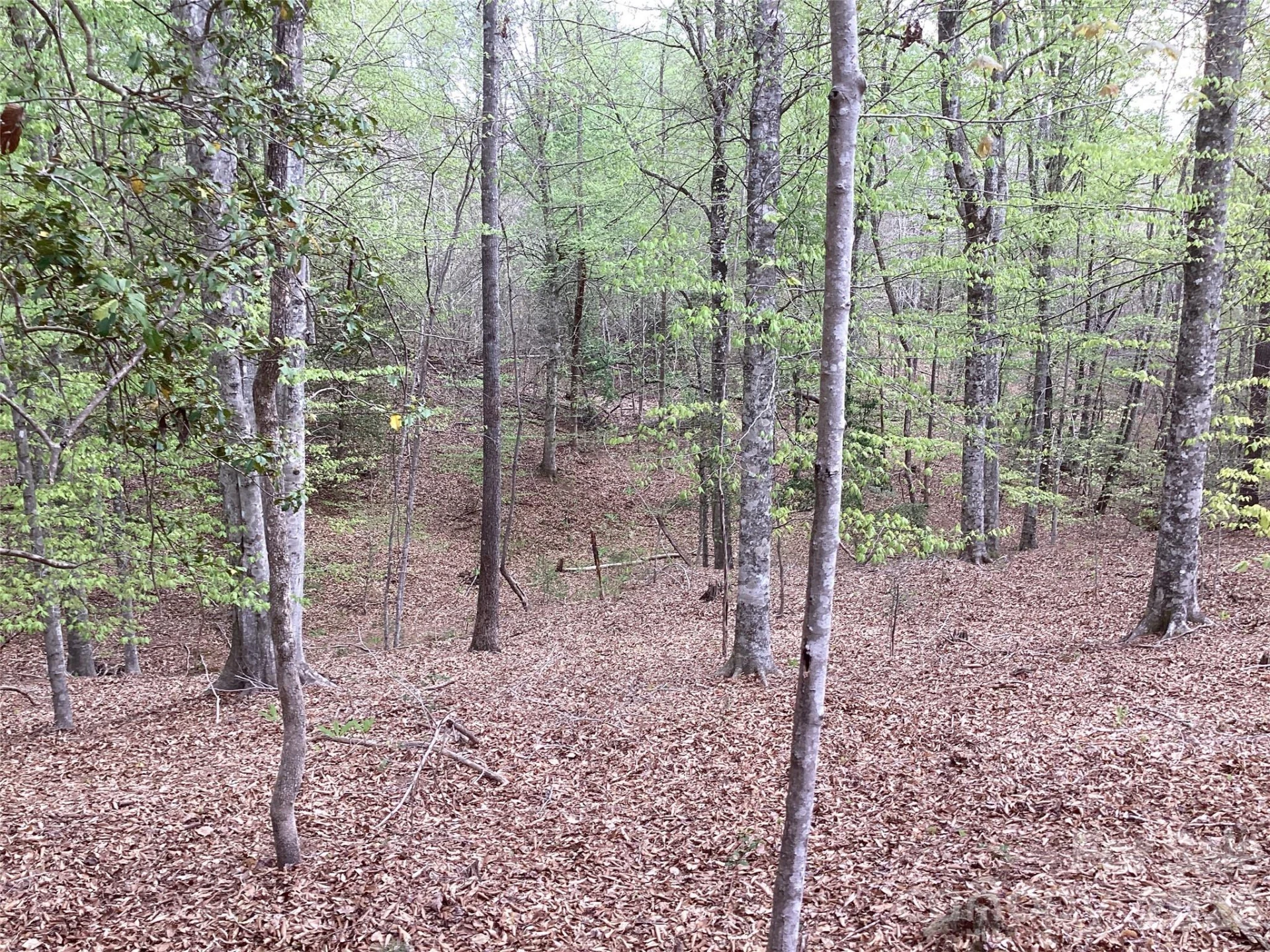 4017 Piney Road - Photo 32