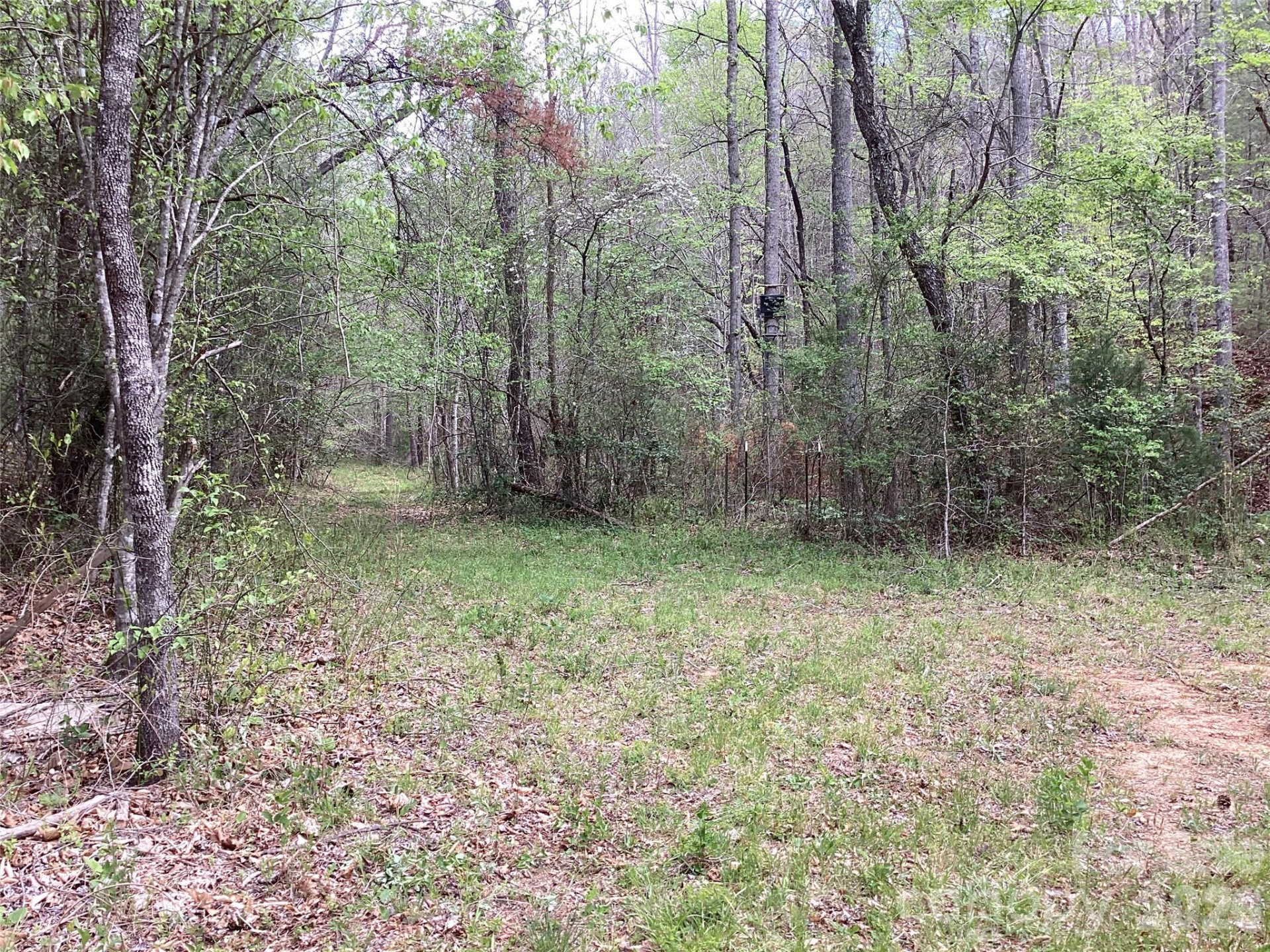 4017 Piney Road - Photo 34