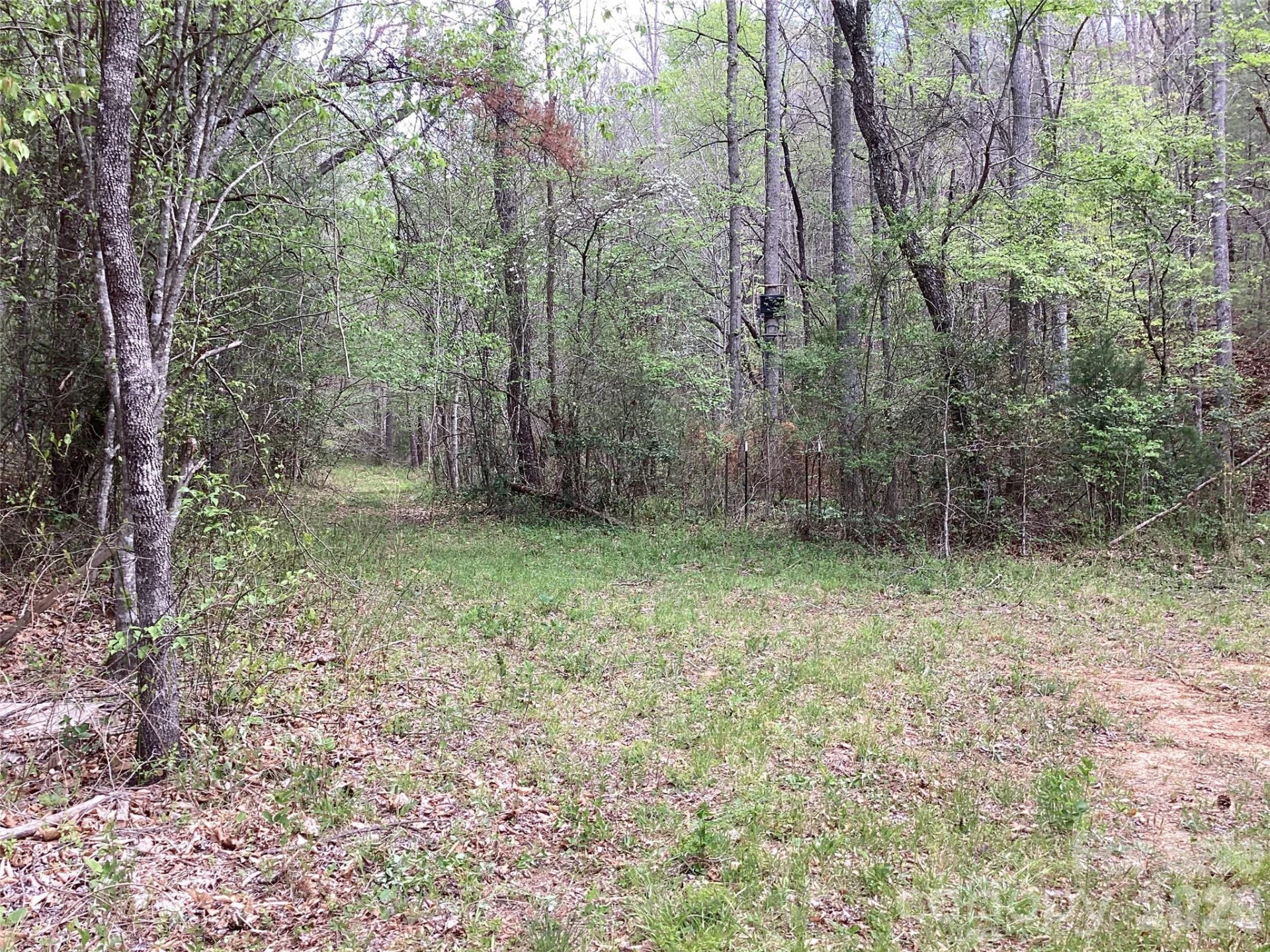 4017 Piney Road - Photo 33