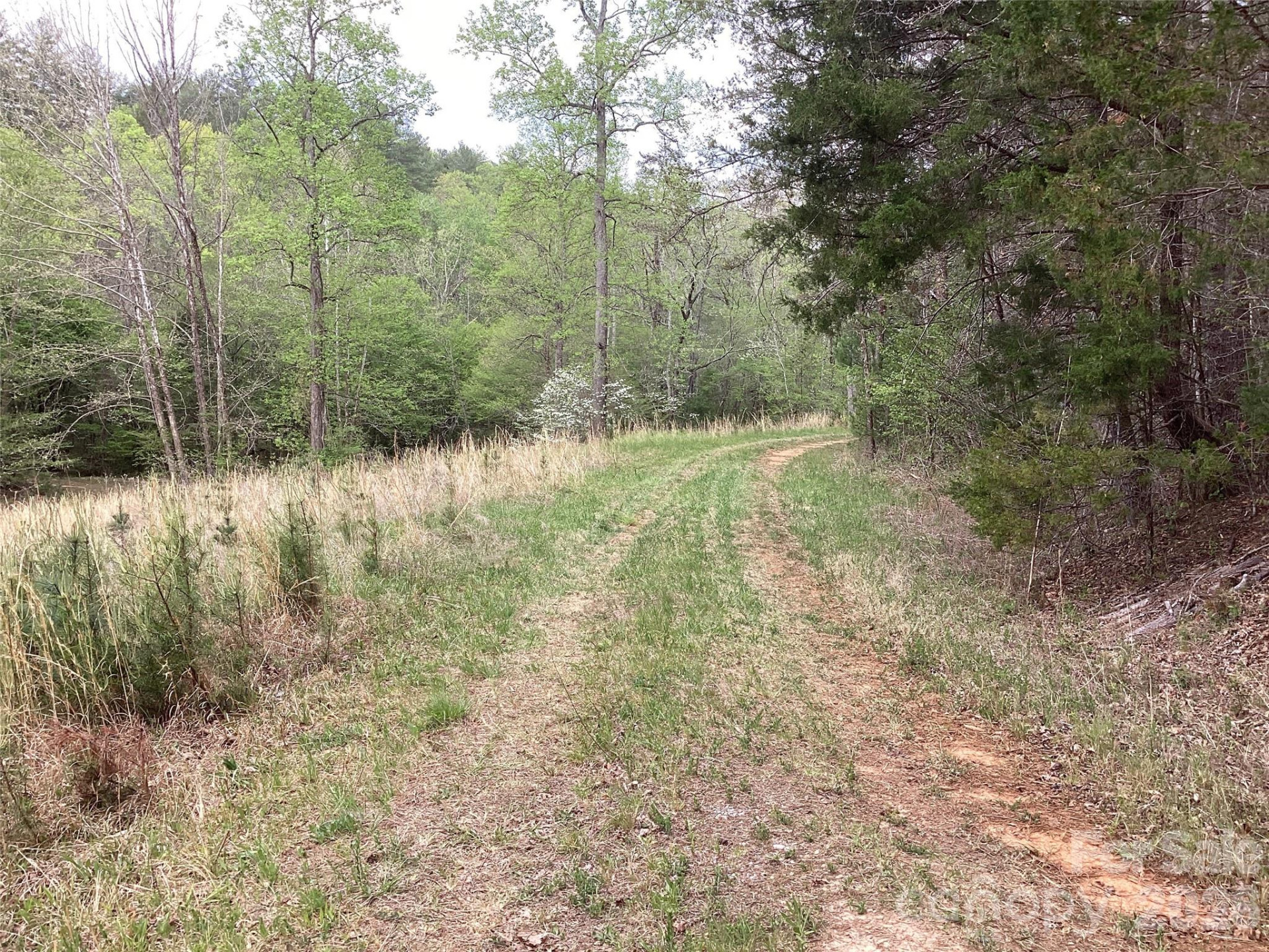 4017 Piney Road - Photo 35