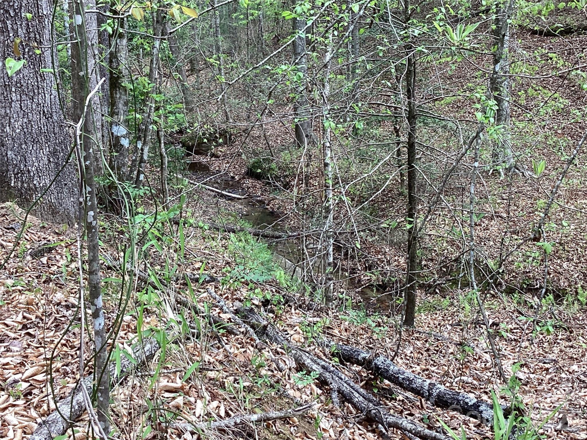 4017 Piney Road - Photo 36