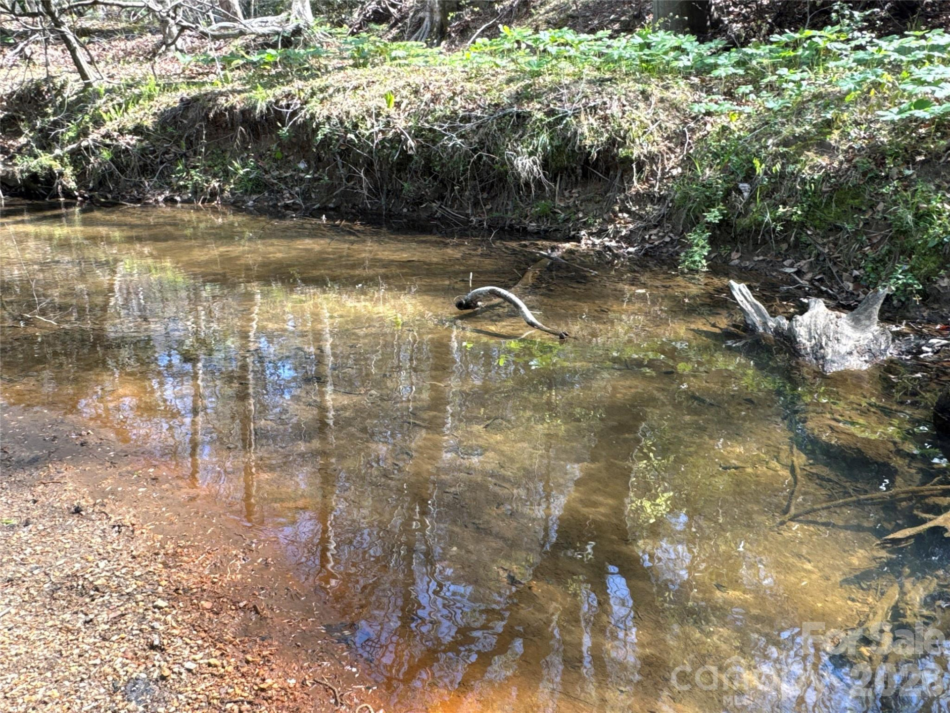 4017 Piney Road - Photo 7