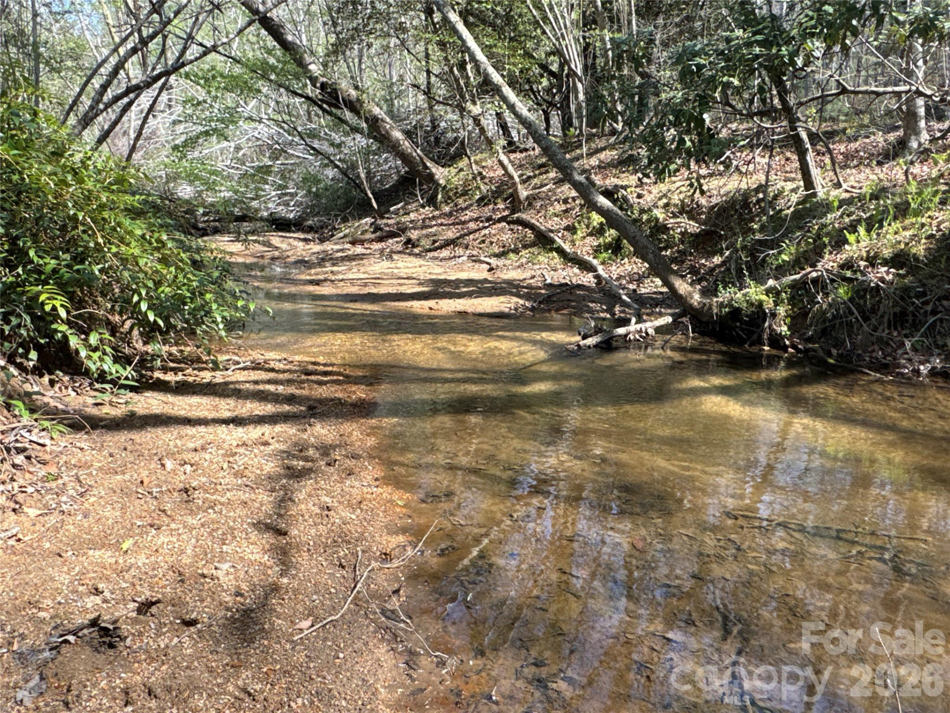 4017 Piney Road - Photo 8