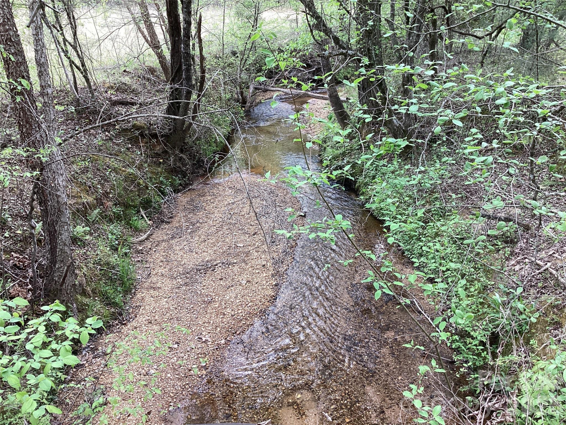 4017 Piney Road - Photo 11