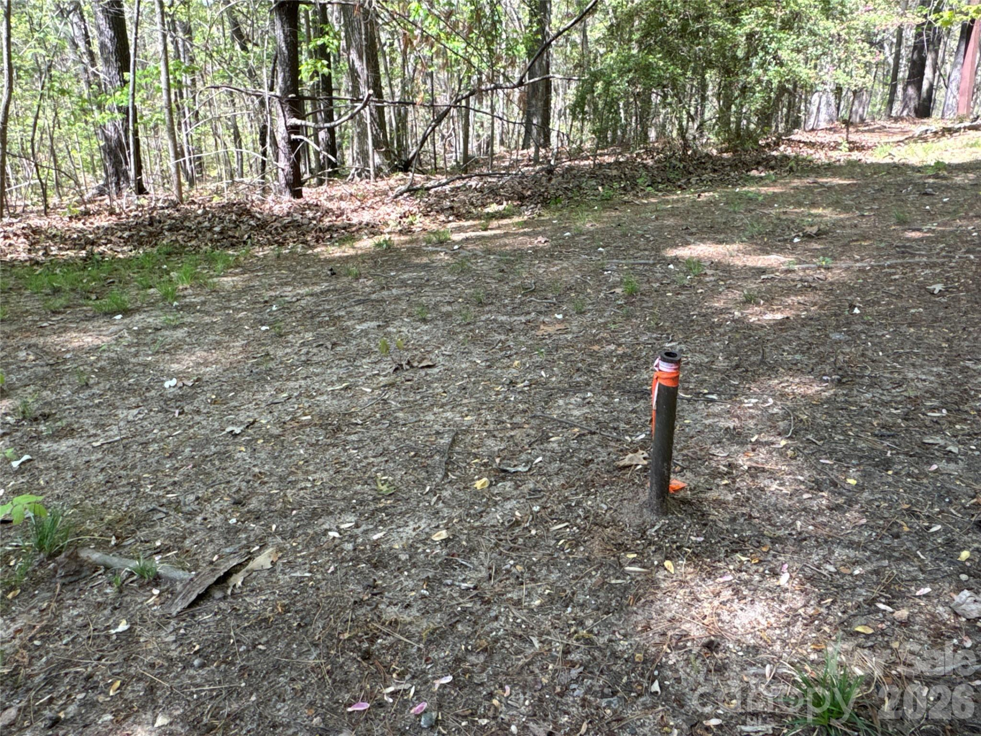 4017 Piney Road - Photo 13