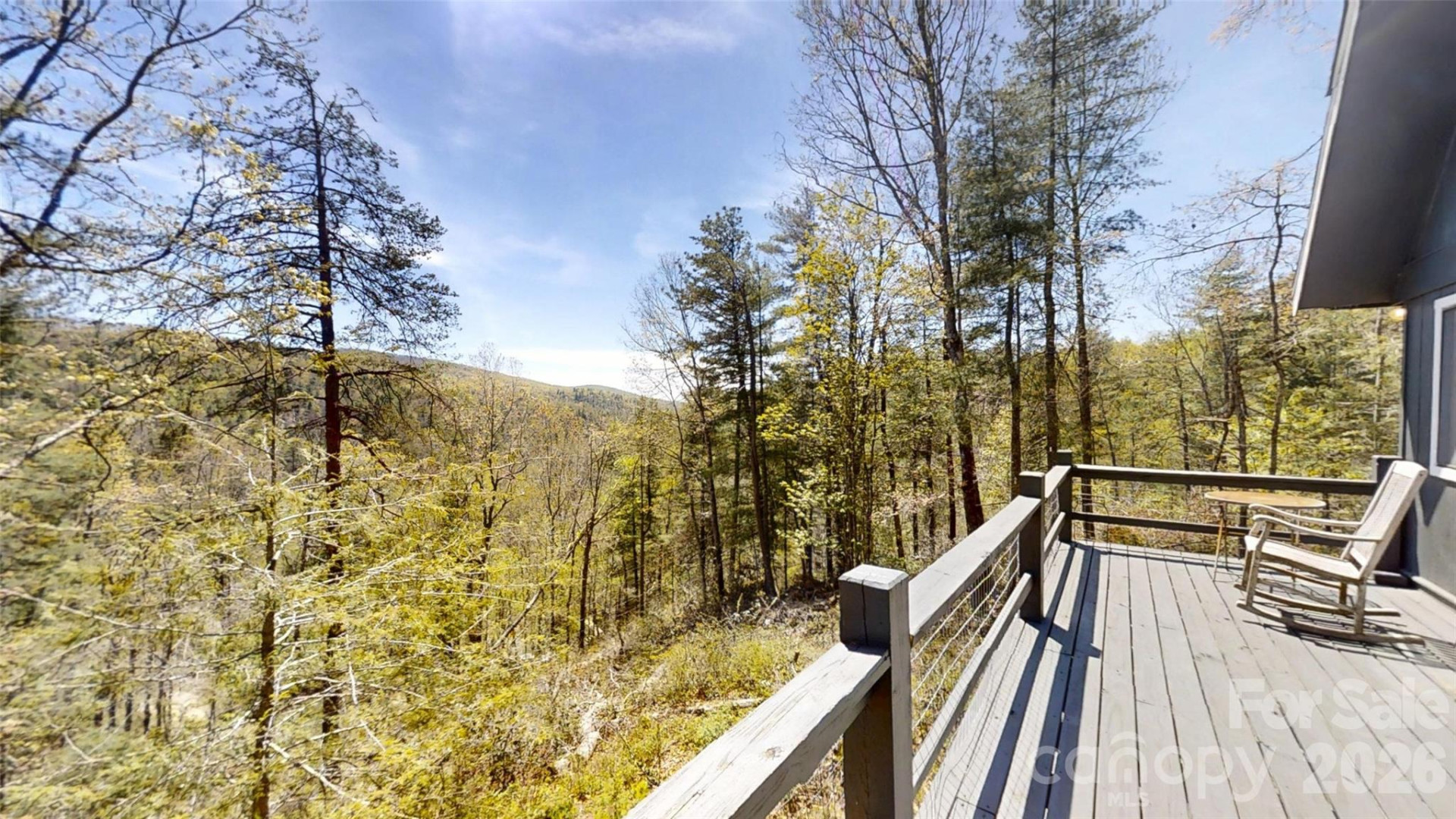 321 Doris Lisa View Drive - Photo 4