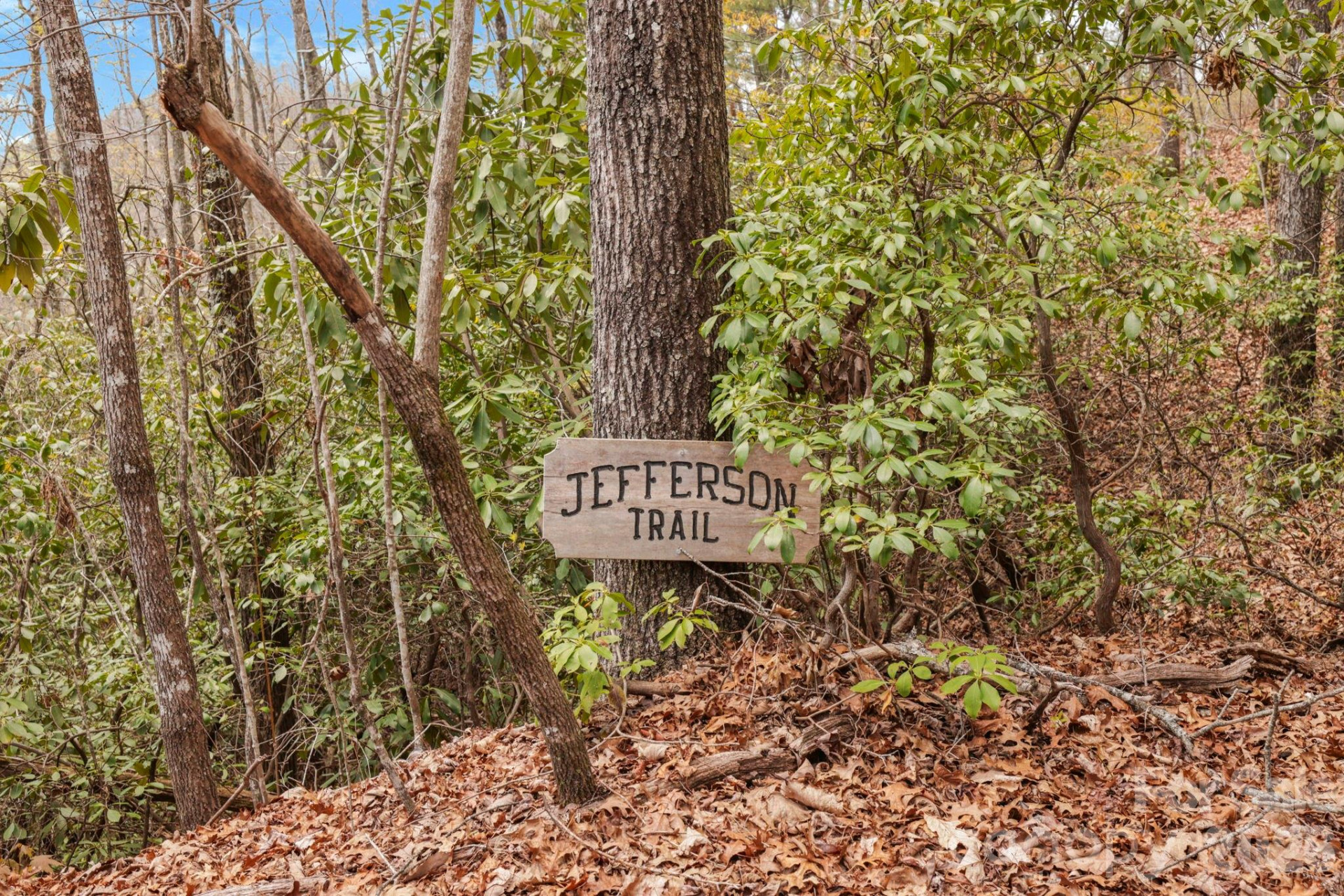 305 Stamey Creek Road - Photo 20