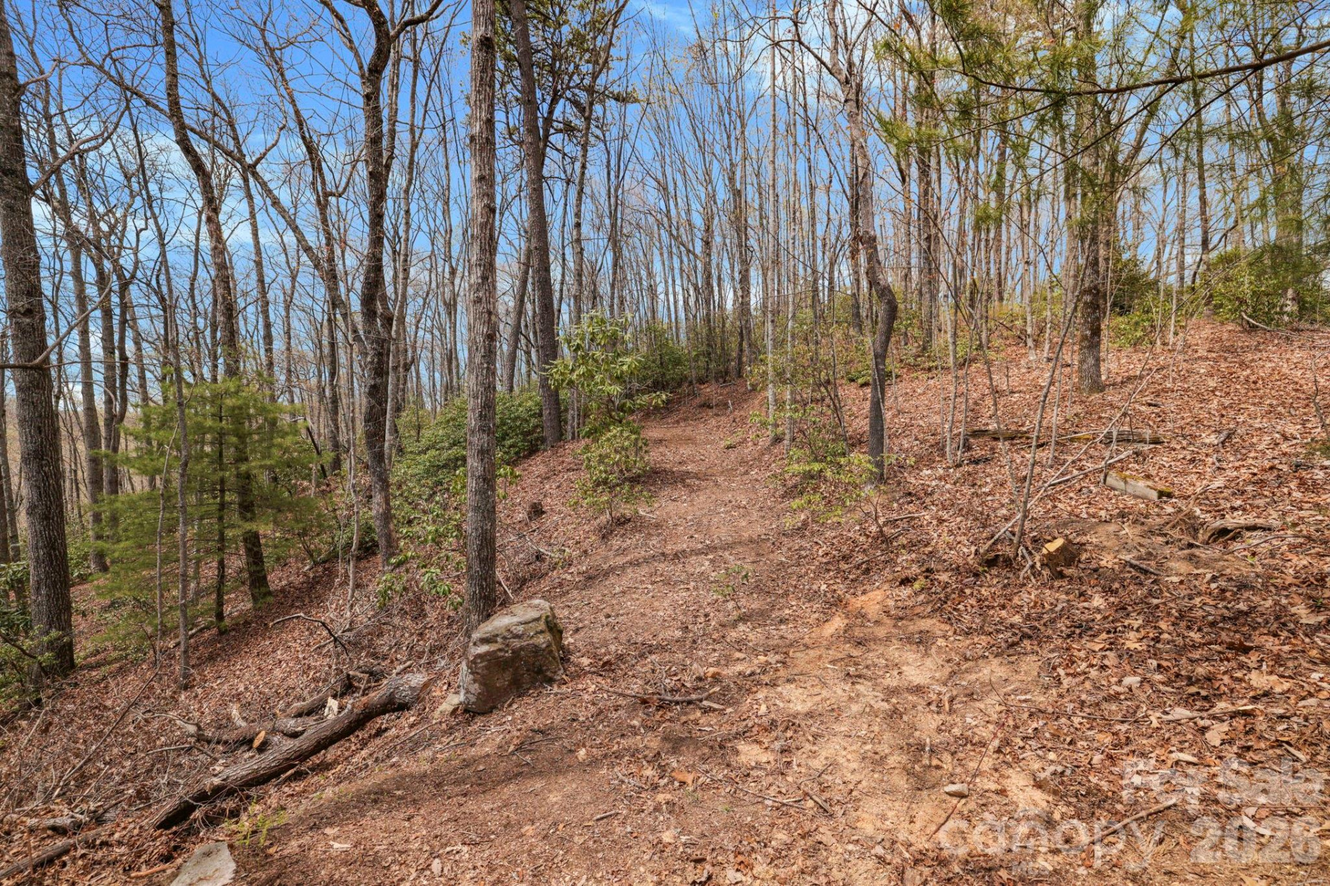 305 Stamey Creek Road - Photo 21