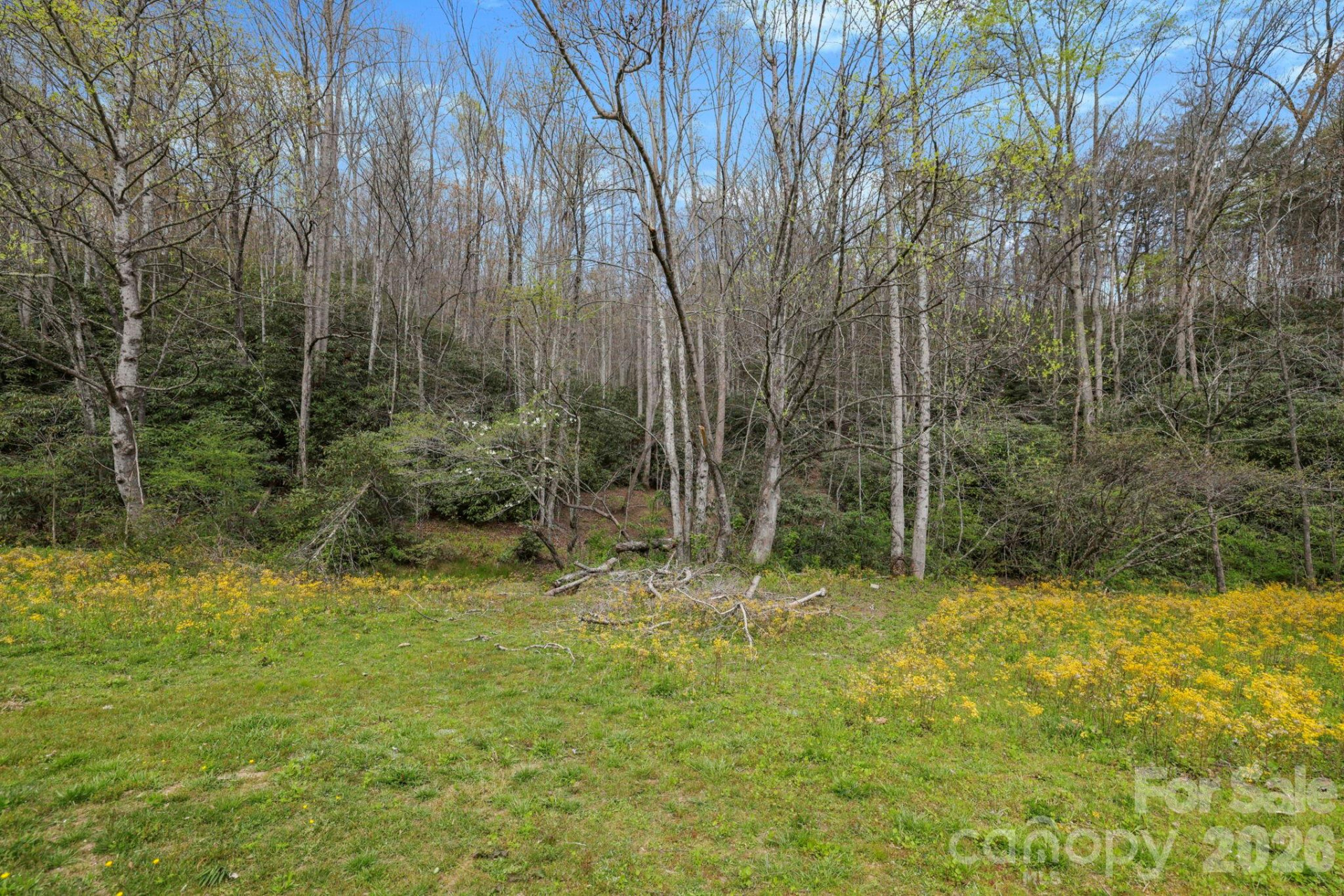 305 Stamey Creek Road - Photo 23