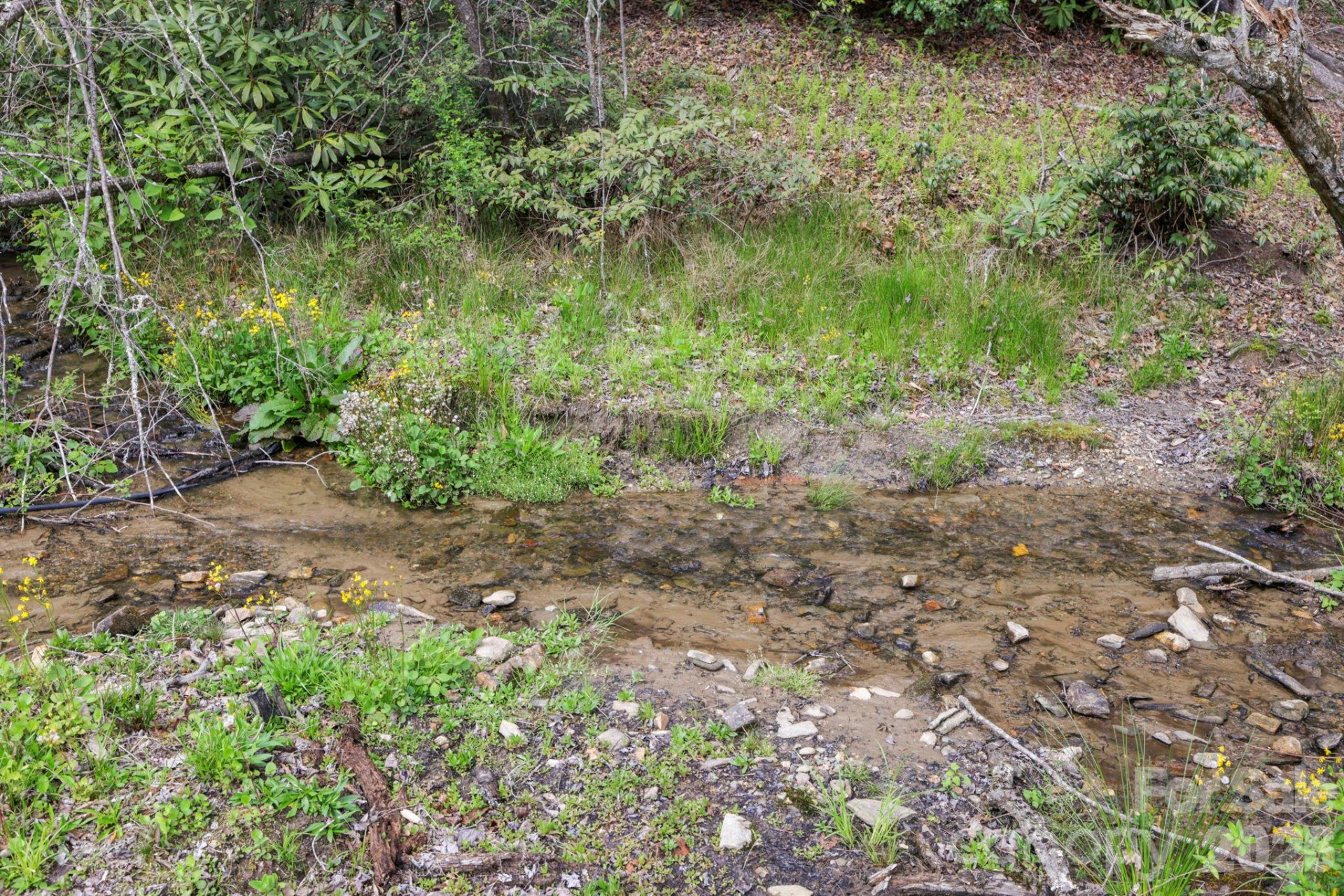 305 Stamey Creek Road - Photo 24