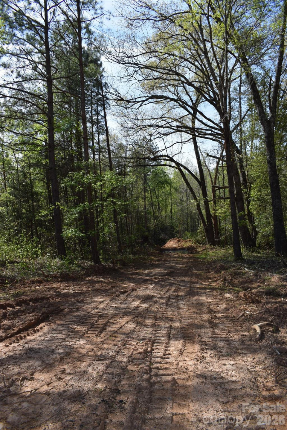 277 Philadelphia Church Road - Photo 11