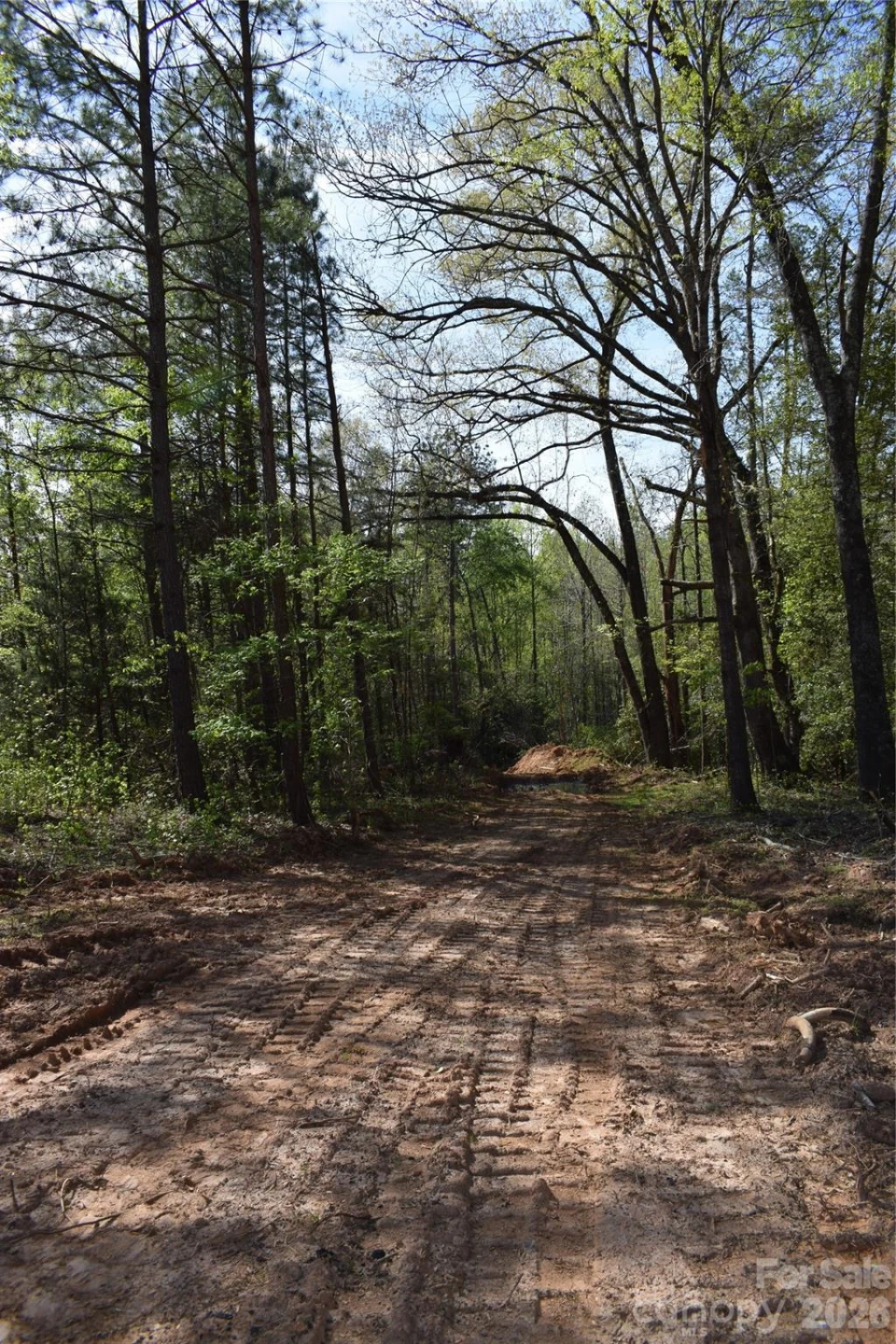 277 Philadelphia Church Road - Photo 11