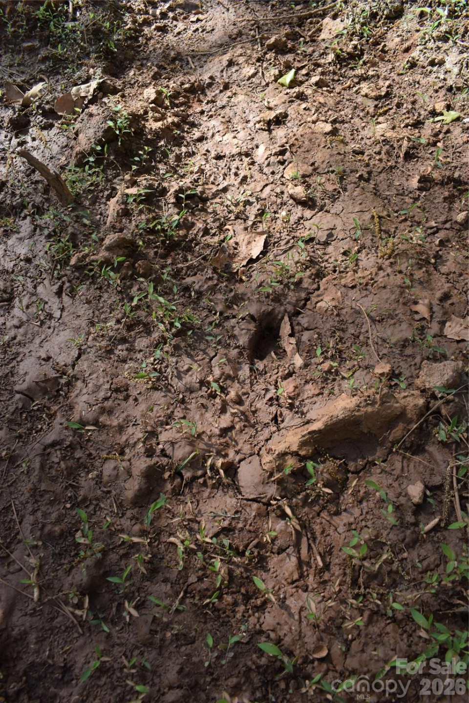 277 Philadelphia Church Road - Photo 12