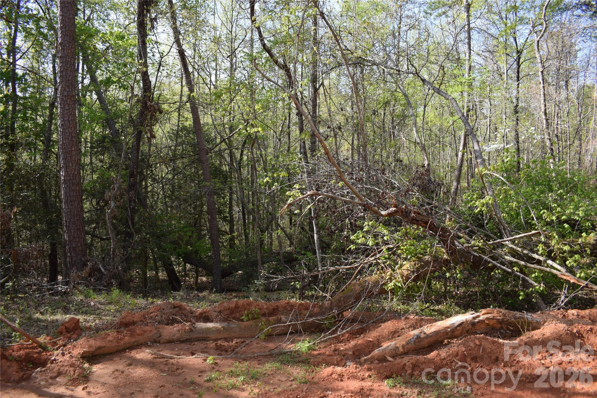 277 Philadelphia Church Road - Photo 14