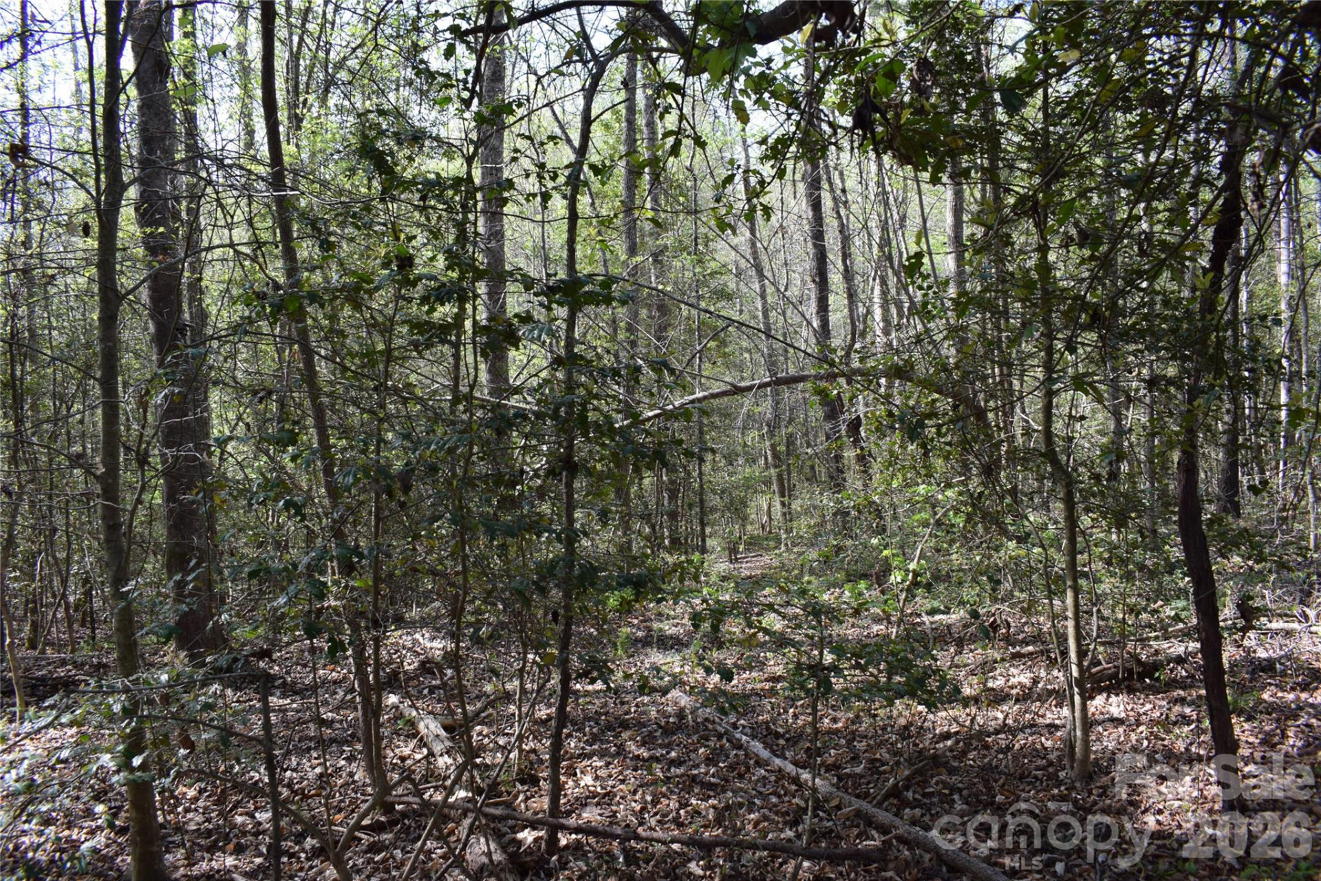 277 Philadelphia Church Road - Photo 16