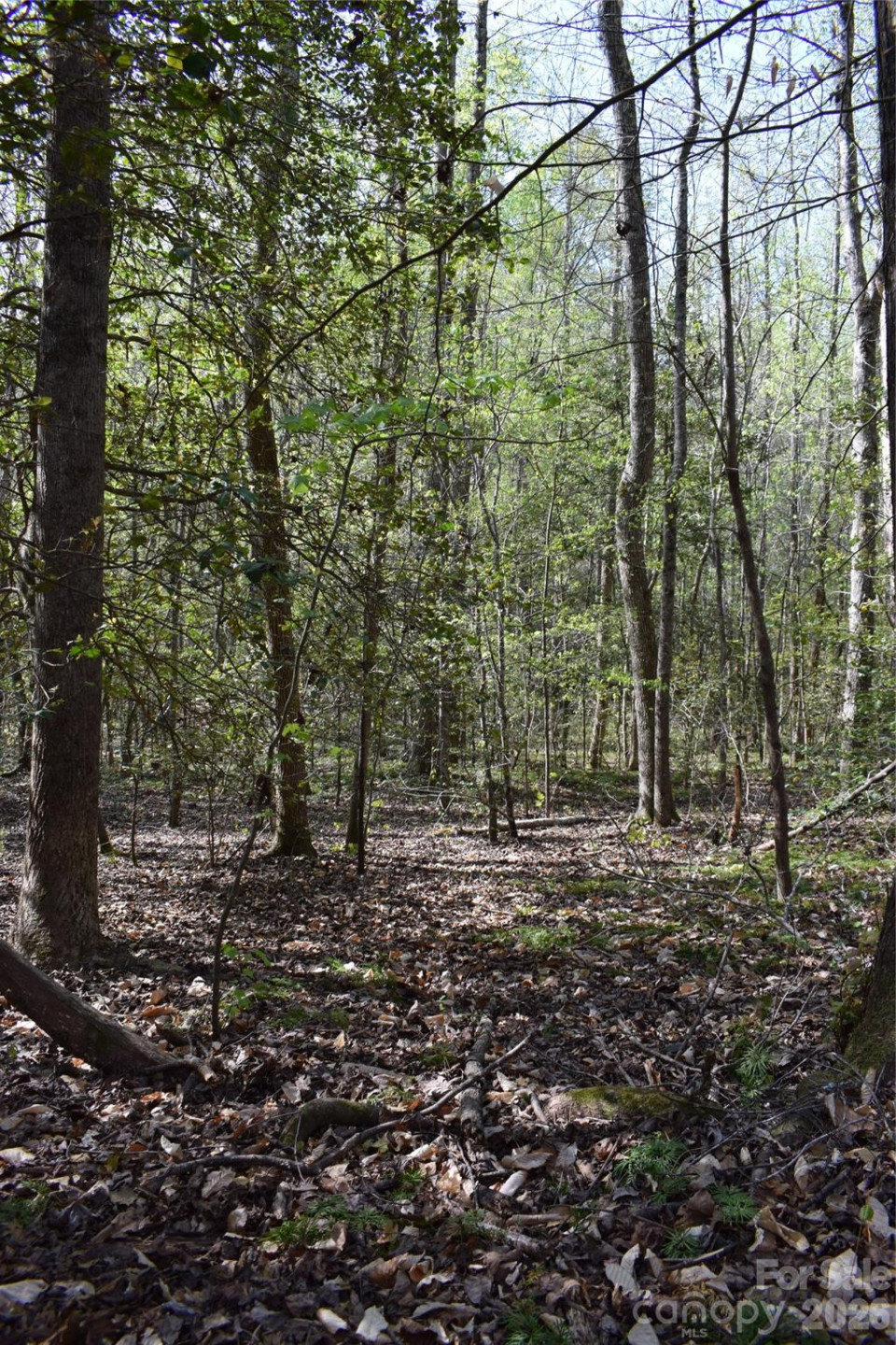 277 Philadelphia Church Road - Photo 17