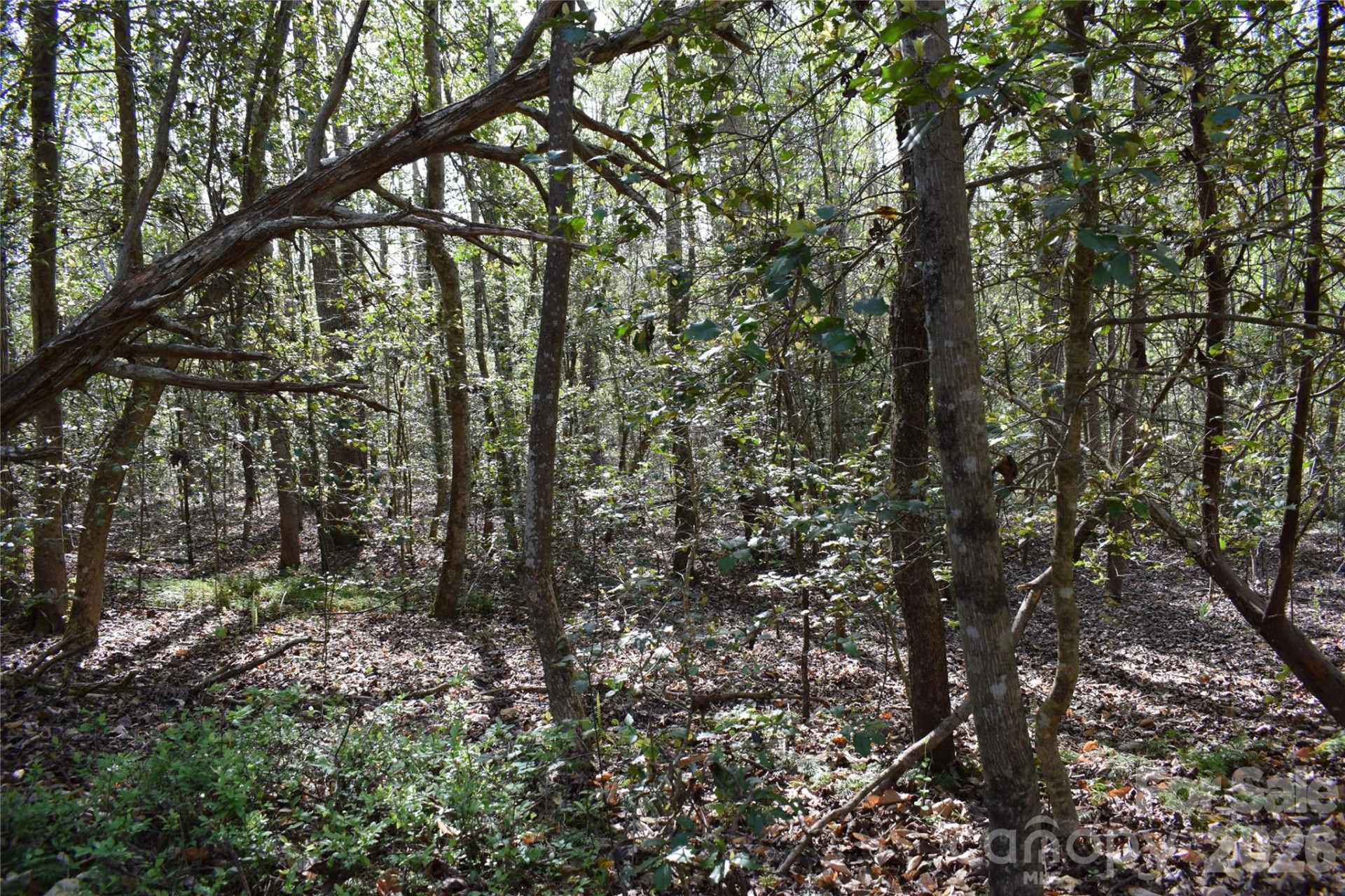 277 Philadelphia Church Road - Photo 18