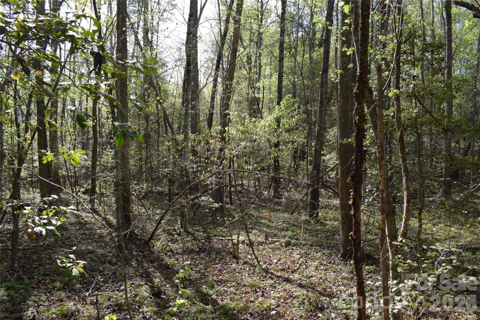 277 Philadelphia Church Road - Photo 19