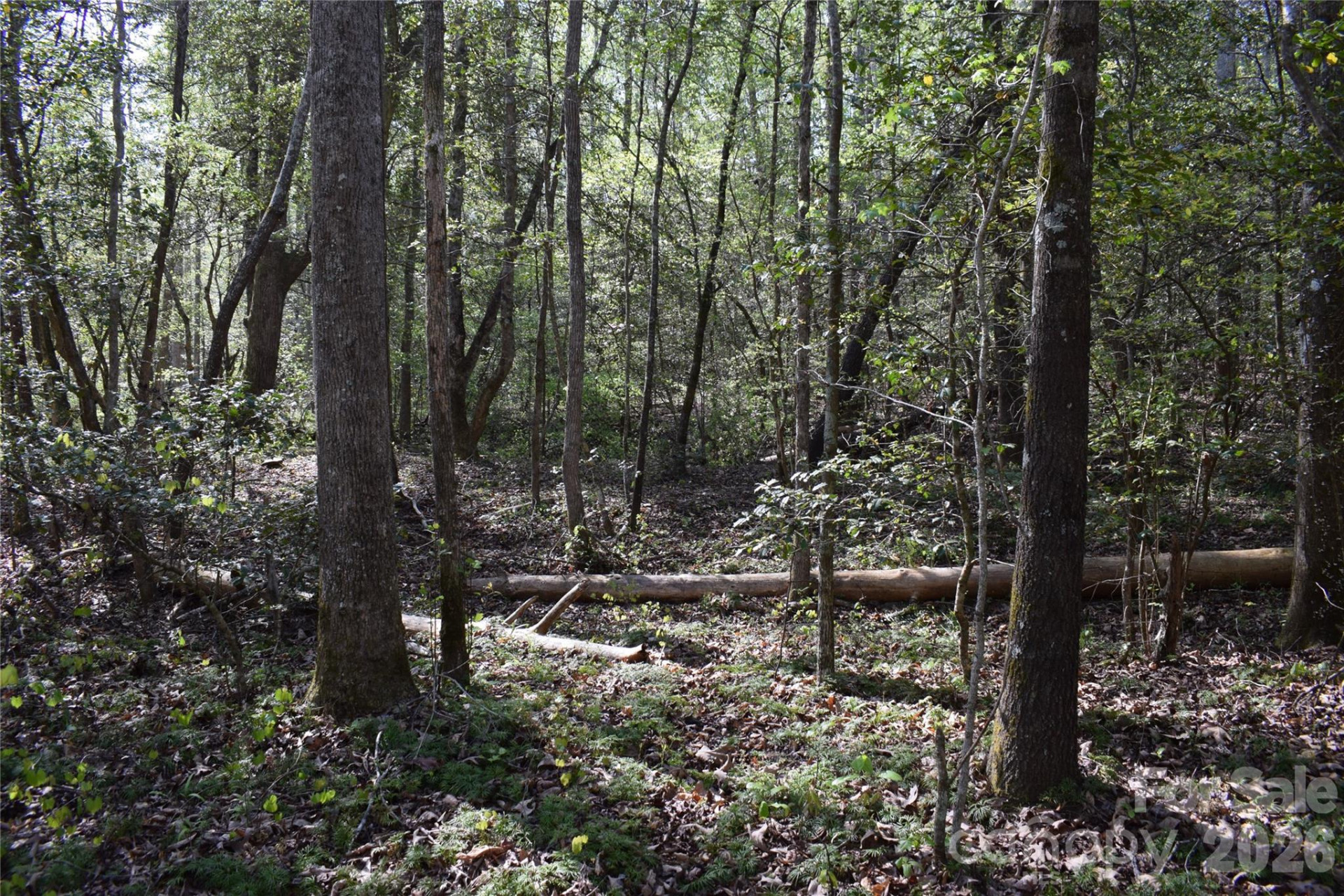 277 Philadelphia Church Road - Photo 20