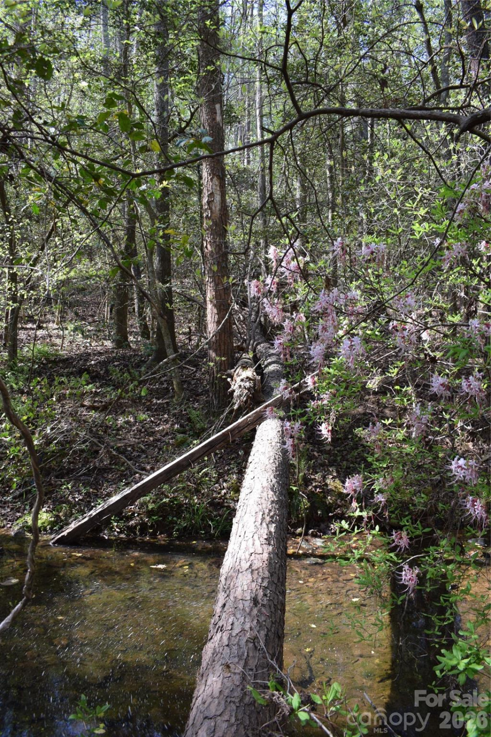 277 Philadelphia Church Road - Photo 21