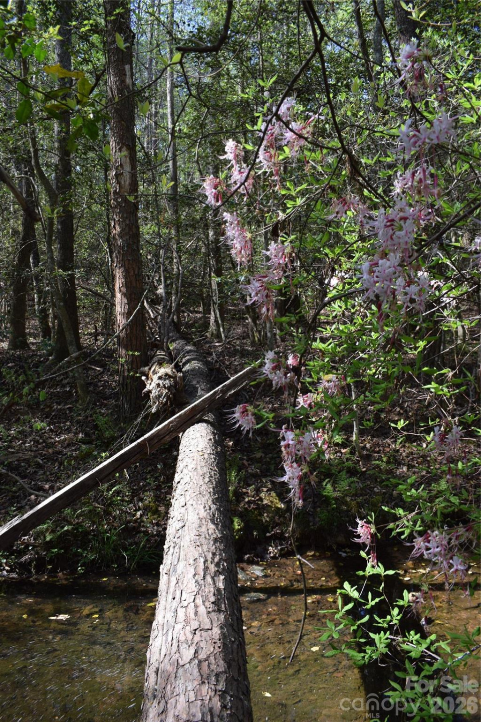 277 Philadelphia Church Road - Photo 22