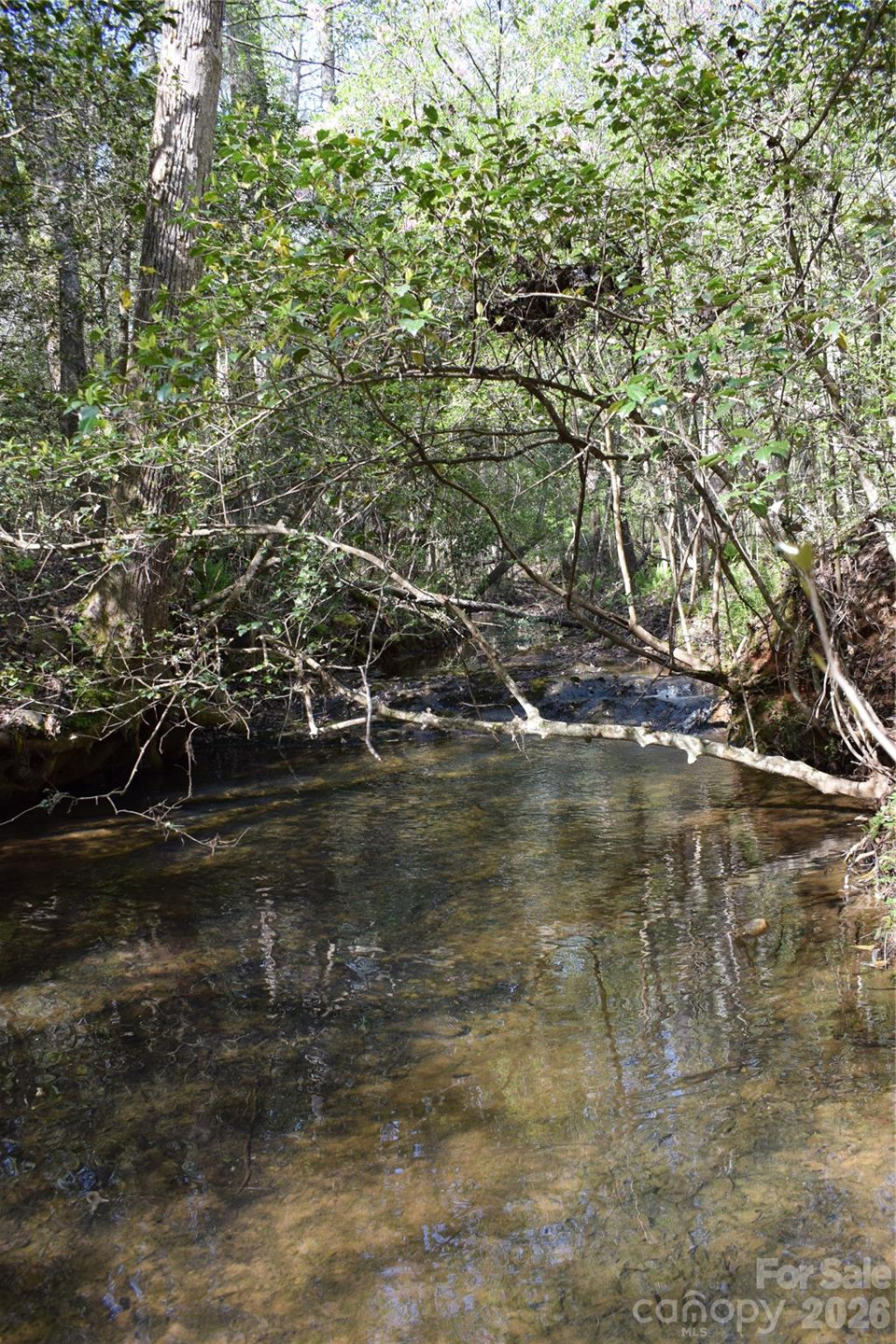 277 Philadelphia Church Road - Photo 24