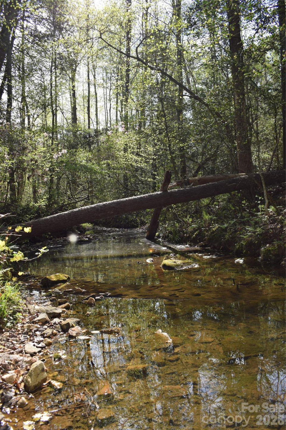 277 Philadelphia Church Road - Photo 25