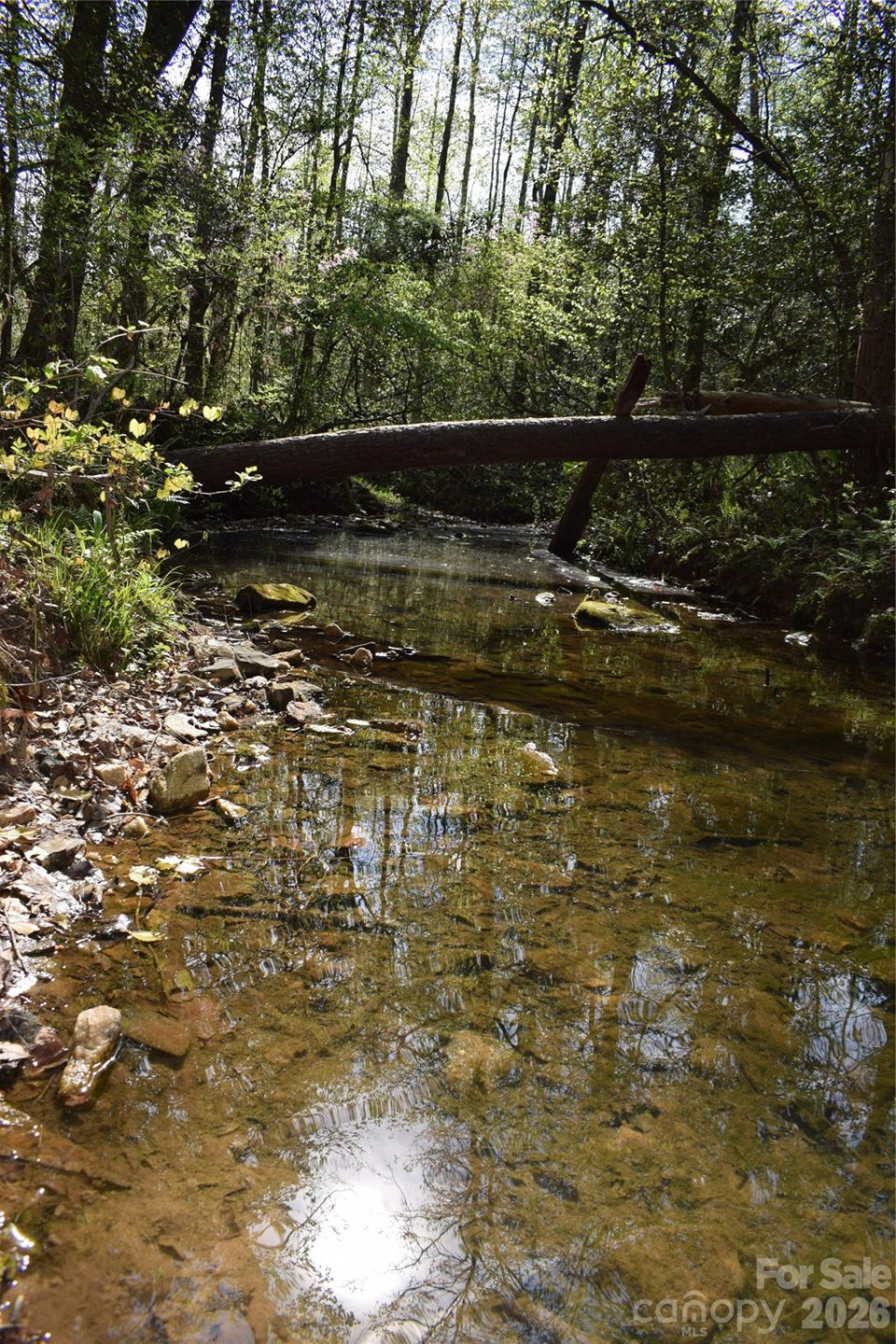 277 Philadelphia Church Road - Photo 26