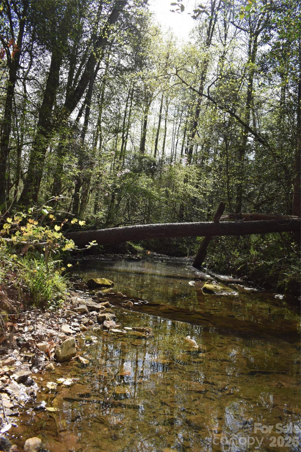 277 Philadelphia Church Road - Photo 27