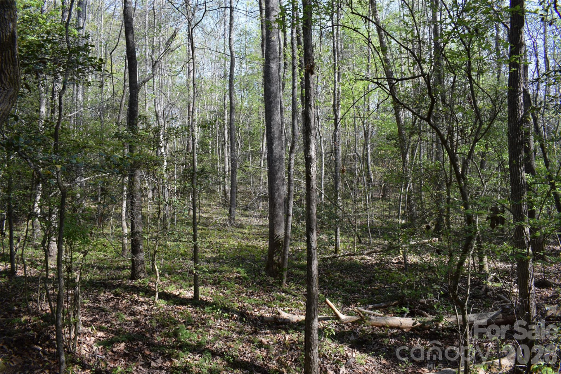 277 Philadelphia Church Road - Photo 28