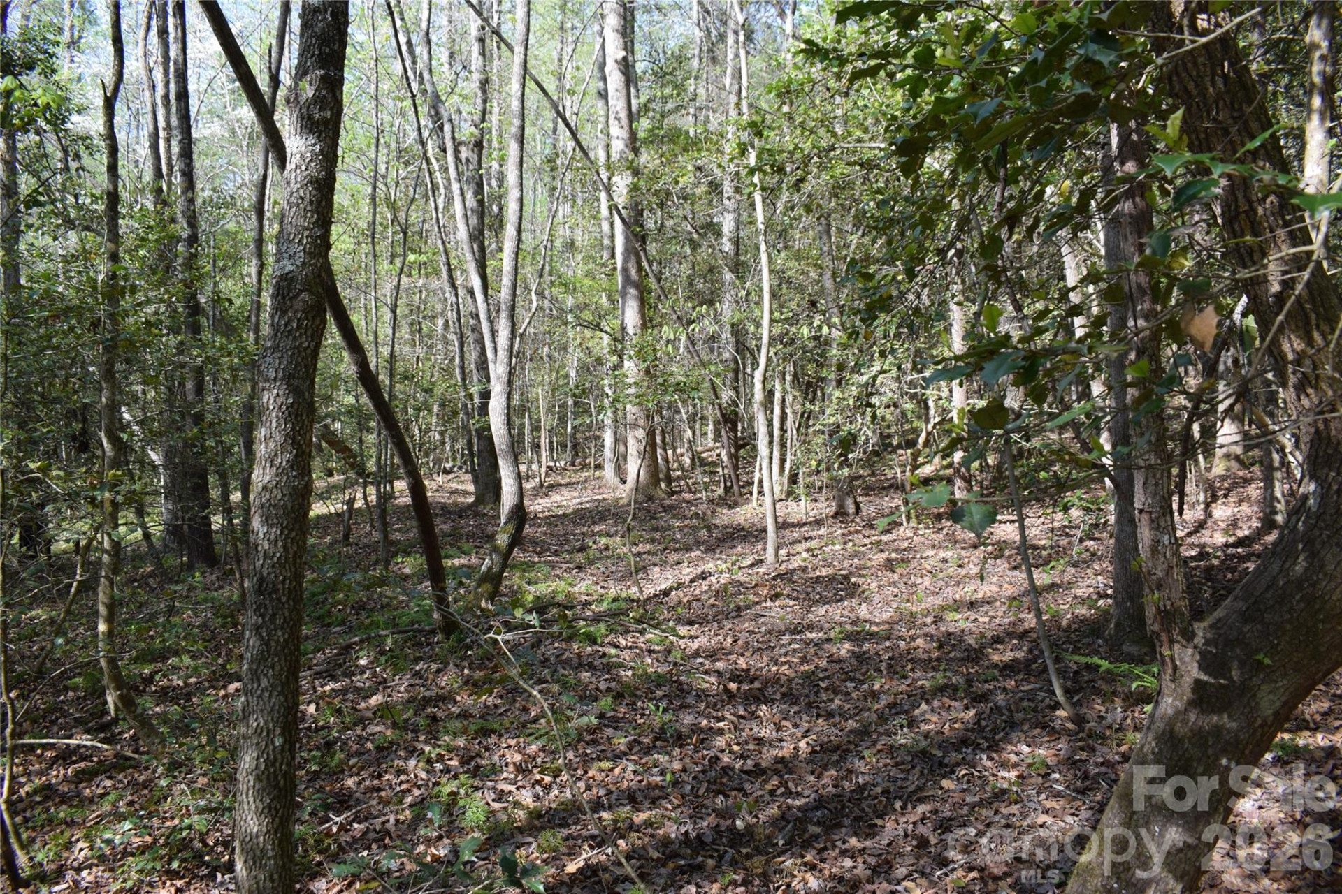 277 Philadelphia Church Road - Photo 29