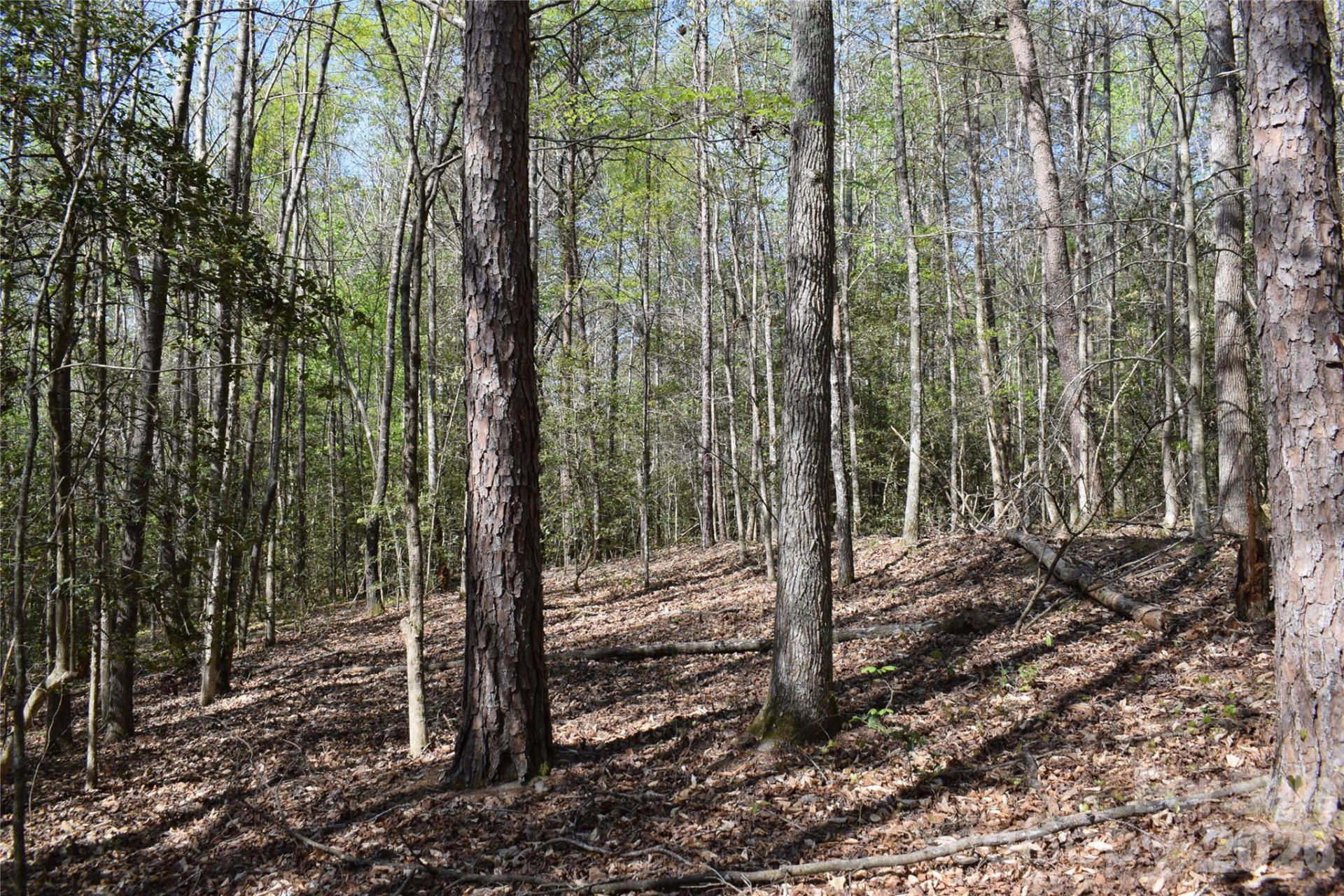 277 Philadelphia Church Road - Photo 30