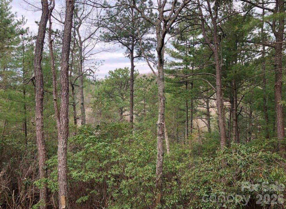 475 Bear Cub Drive - Photo 2