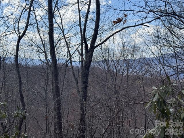 81 Boarding House Way, Sylva, NC, 28779