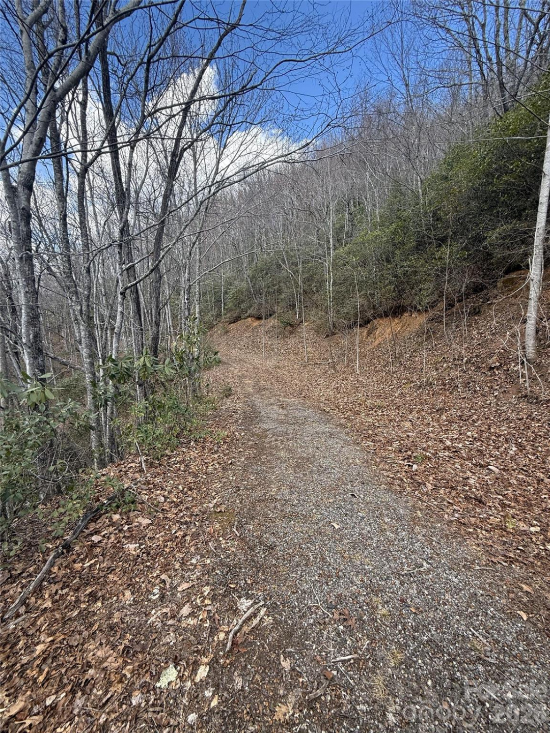 81 Boarding House Way #92 - Photo 2