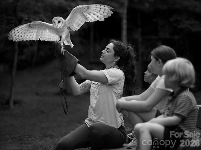 81 Boarding House Way #92 - Photo 14