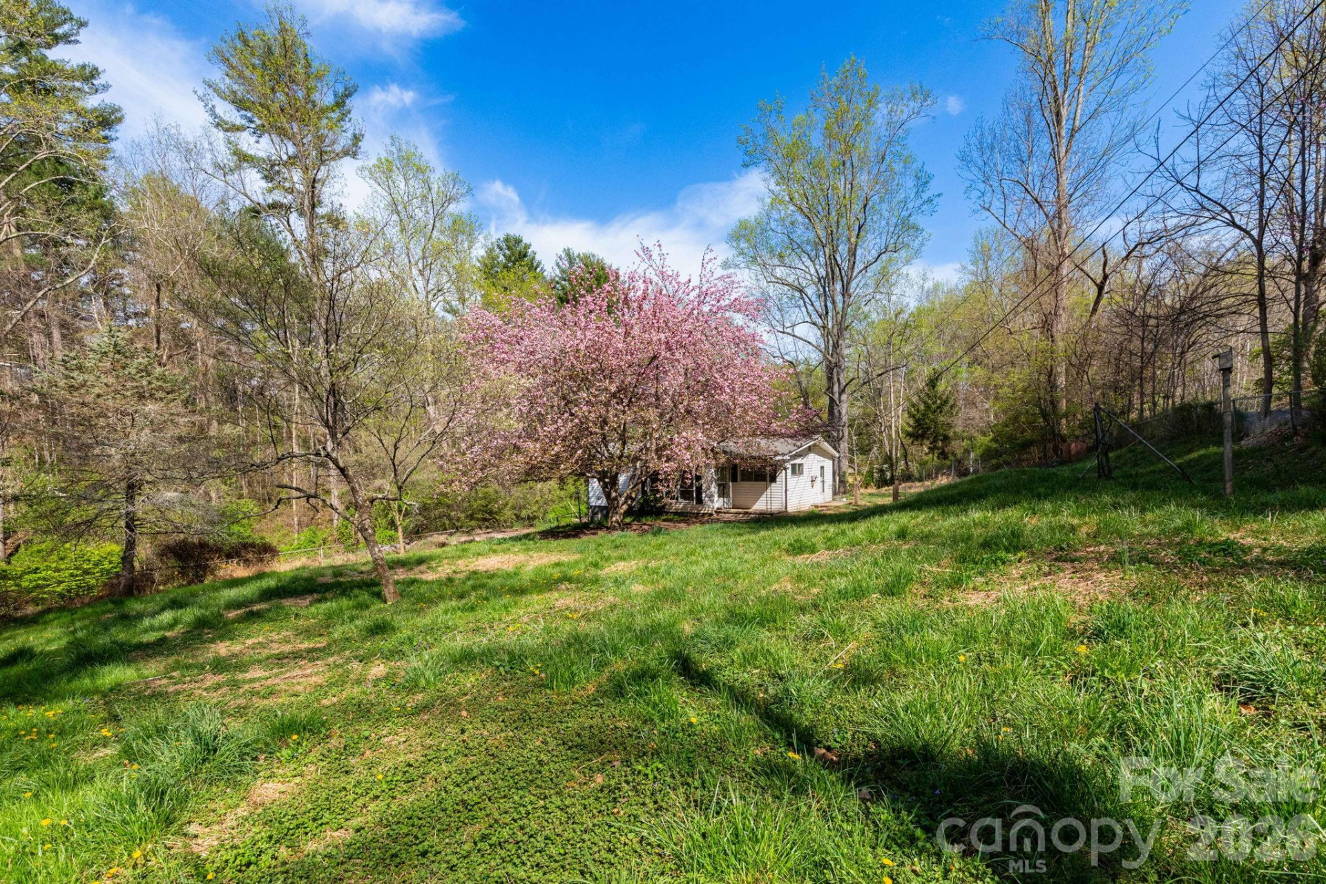 135 Sardis Drive - Photo 14