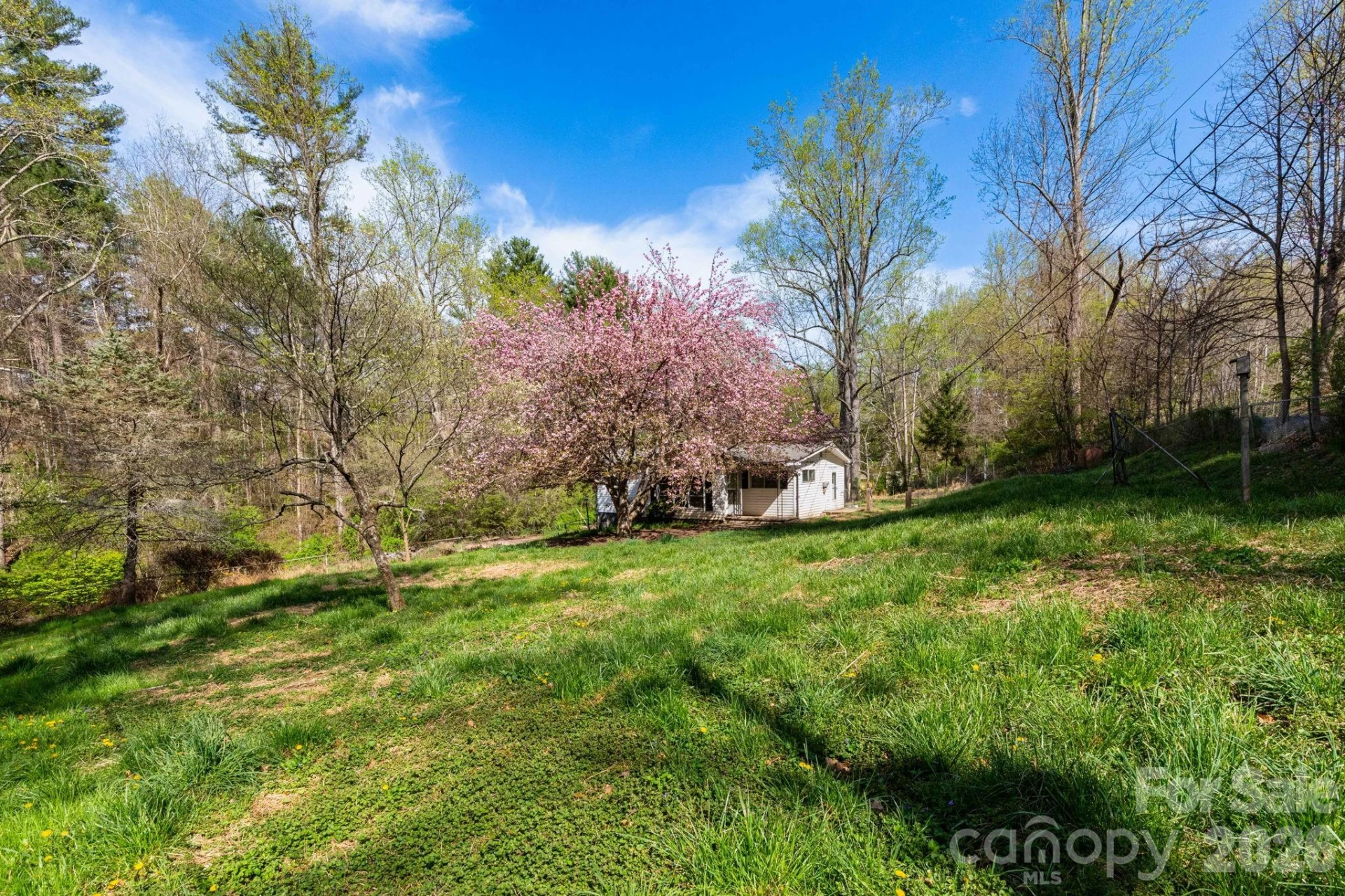 135 Sardis Drive - Photo 14