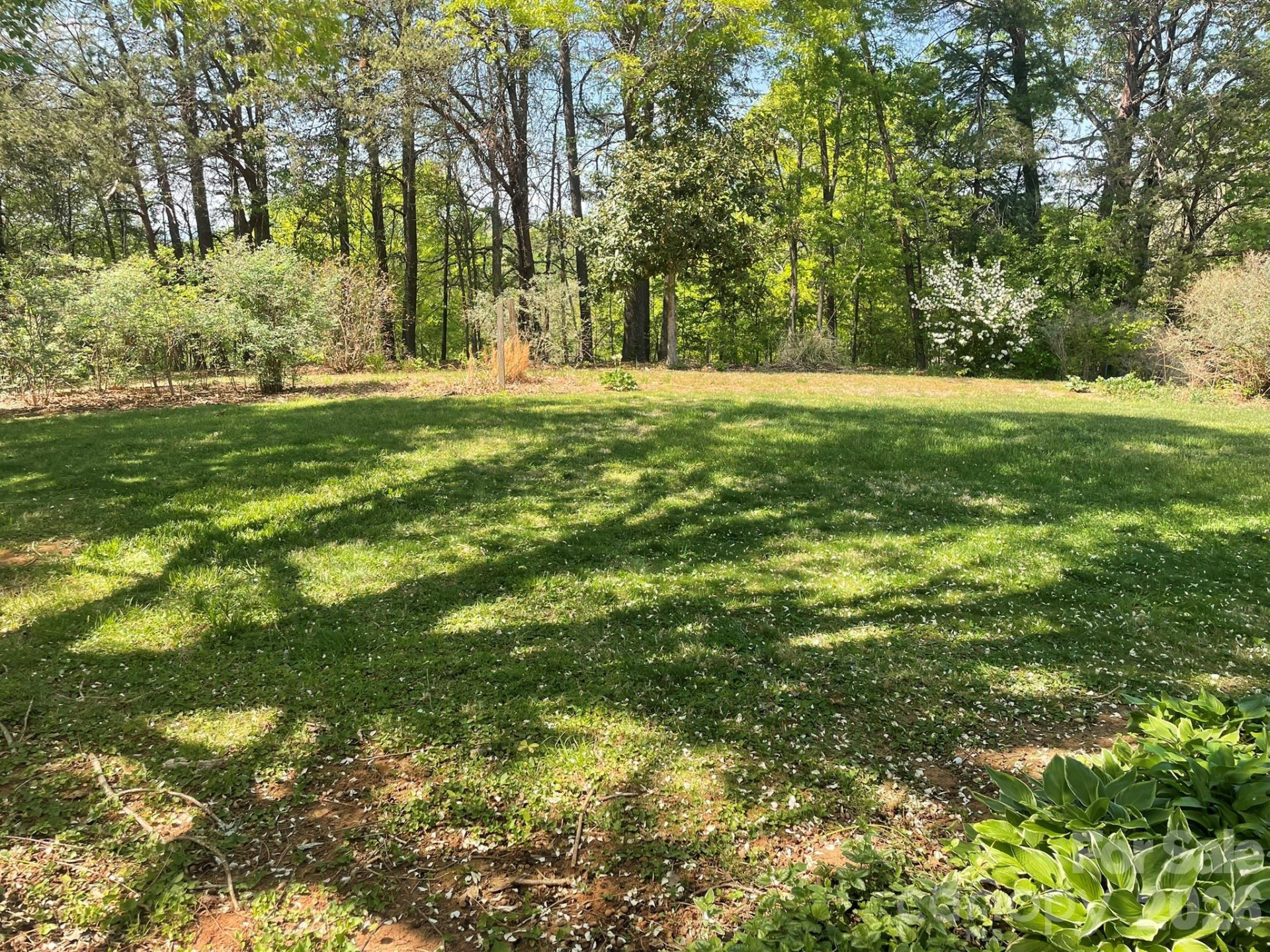 1320 Havenwood Drive - Photo 46